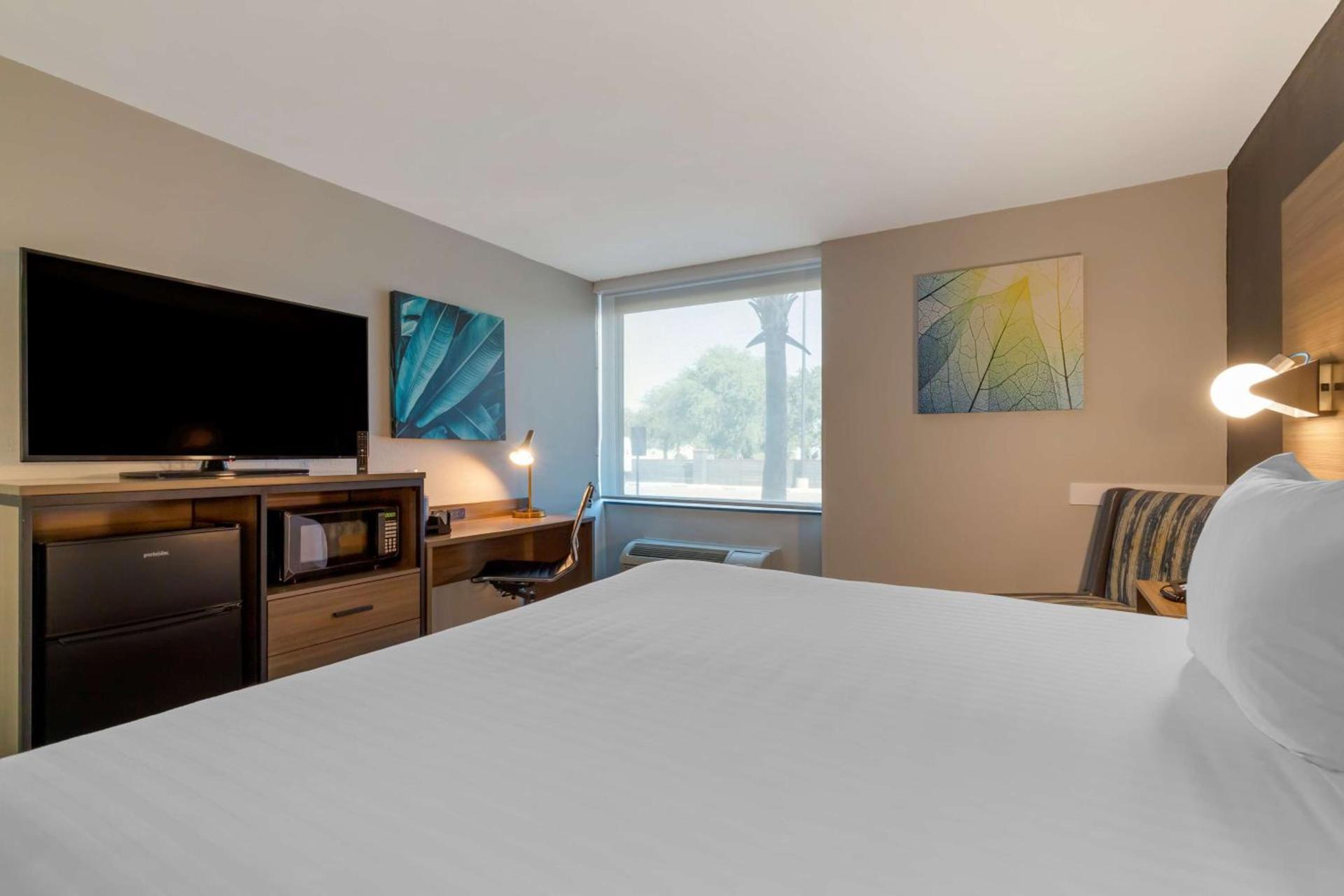 Best Western Corpus Christi Airport Hotel photo 31