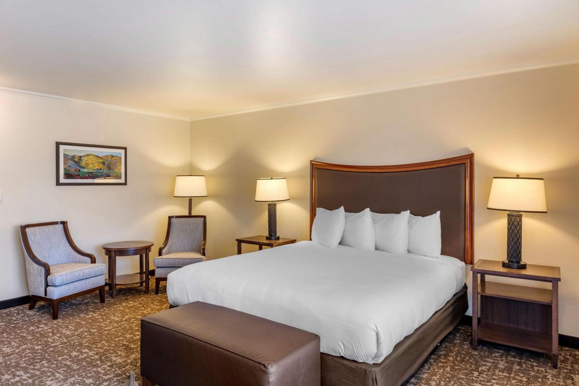 Best Western Plus Royal Oak Hotel photo 36
