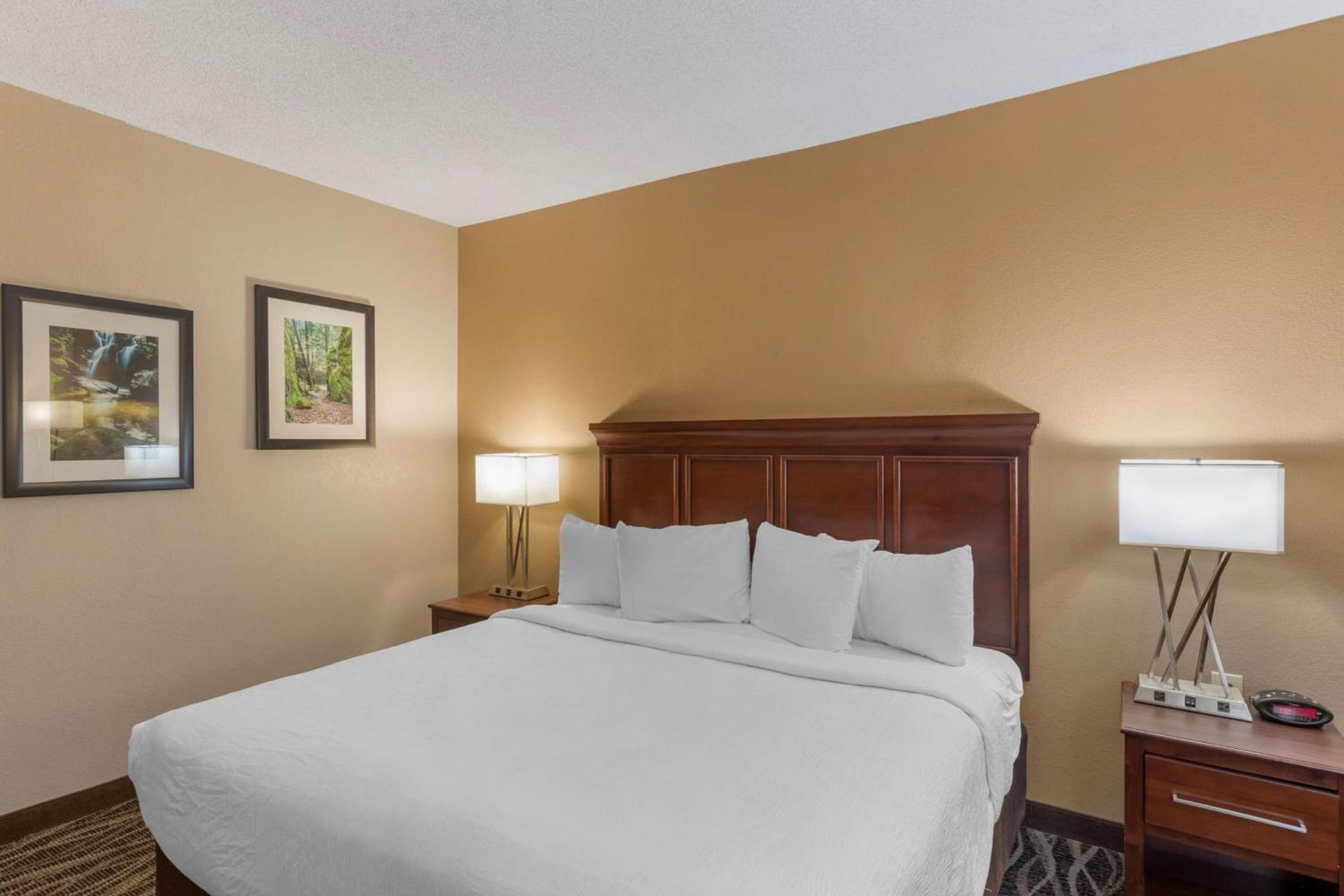 Best Western Plus Russellville Hotel & Suites photo 31