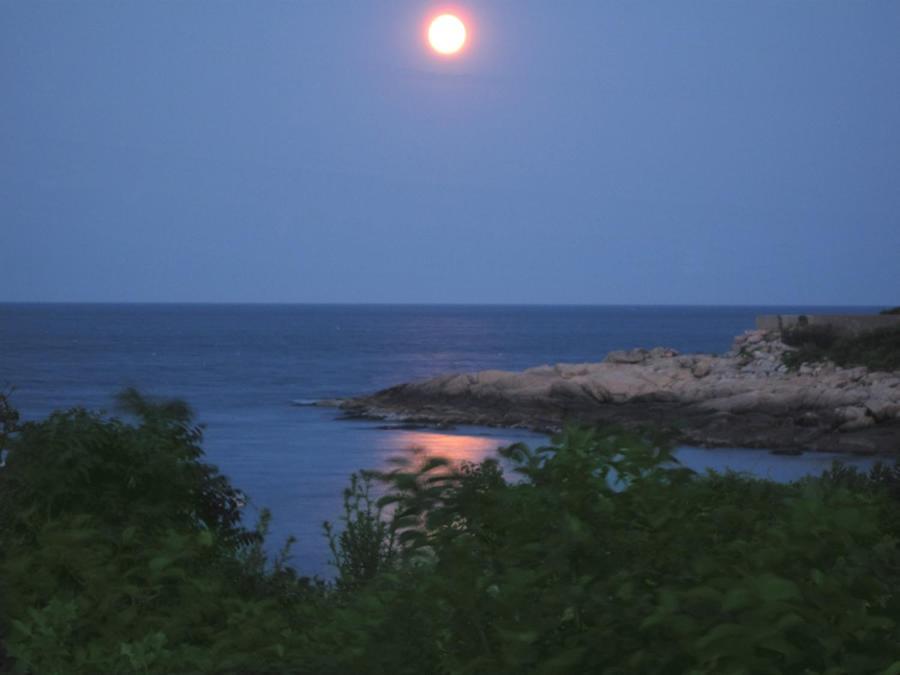 Seafarer Inn photo 24