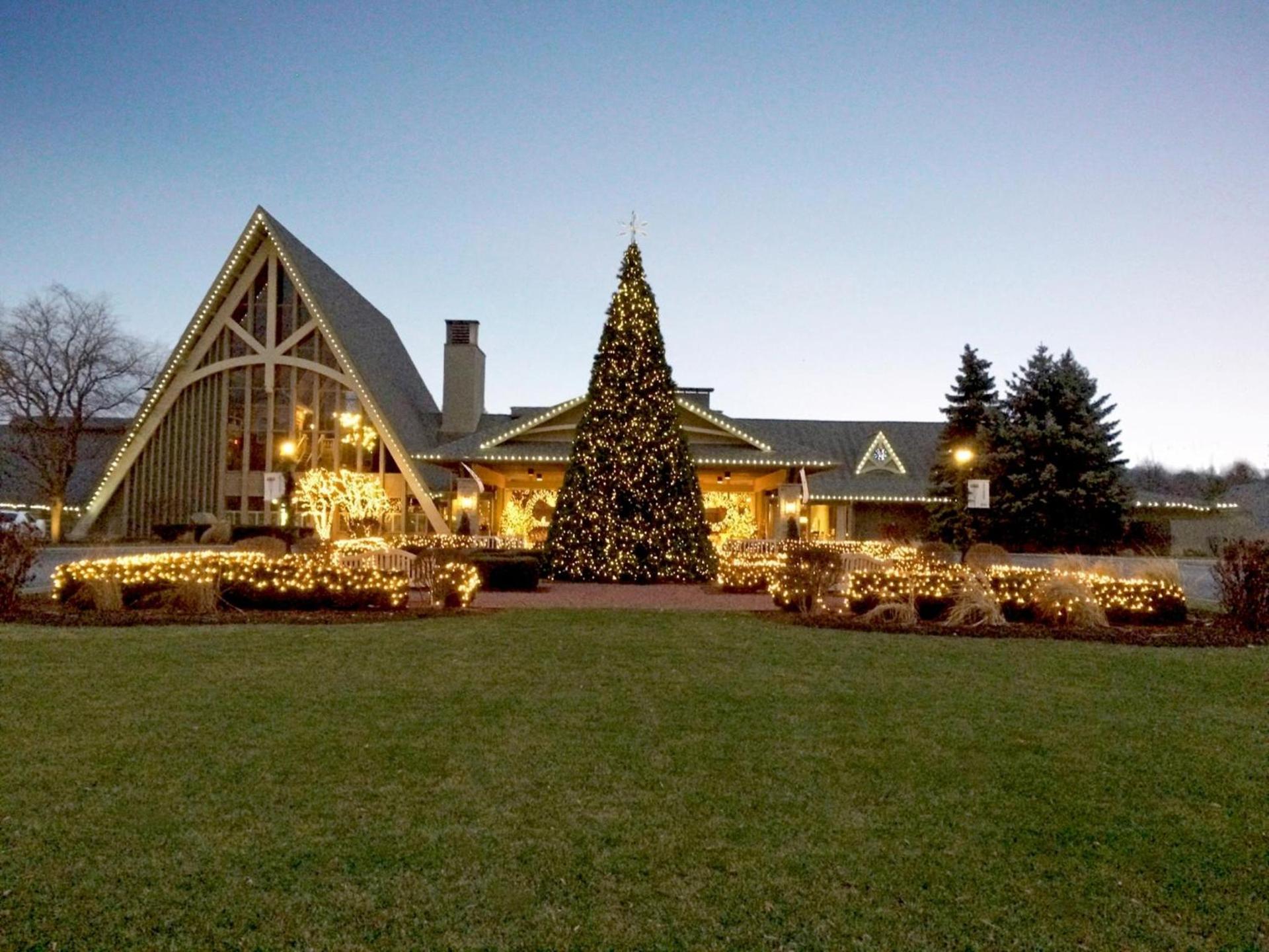 The Abbey Resort & Avani Spa photo 21
