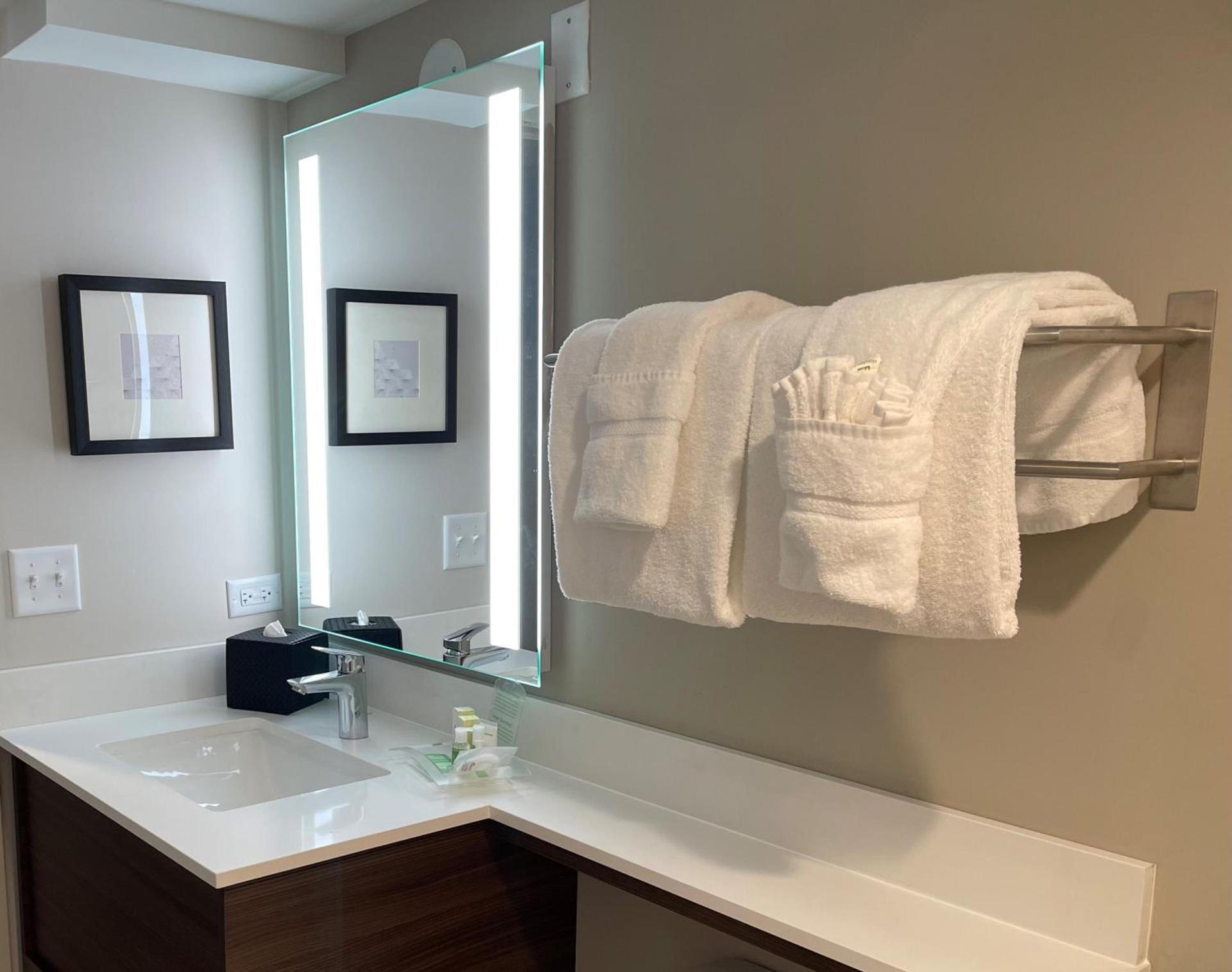 Holiday Inn & Suites Chicago-Downtown by IHG photo 10