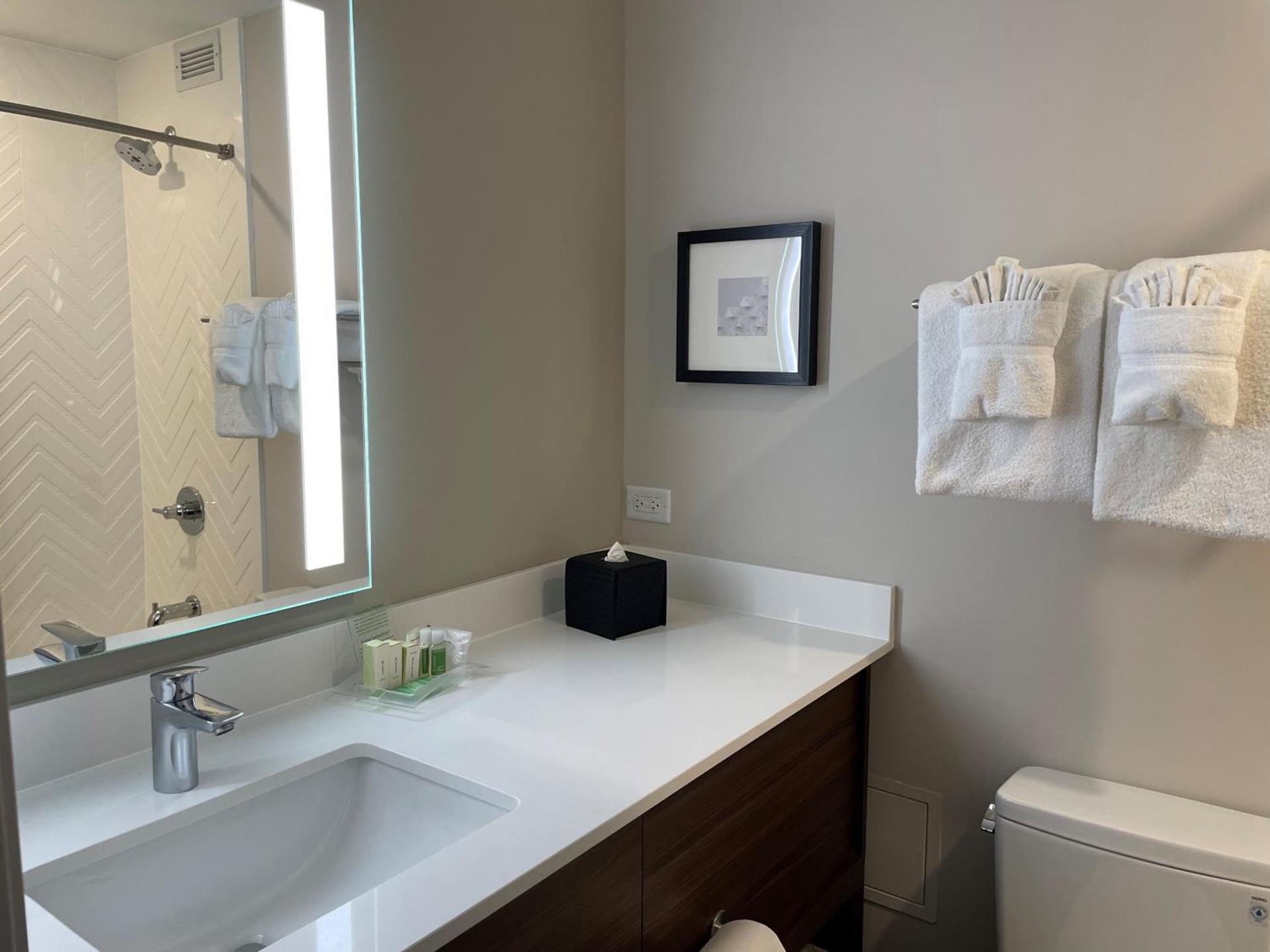 Holiday Inn & Suites Chicago-Downtown by IHG photo 8