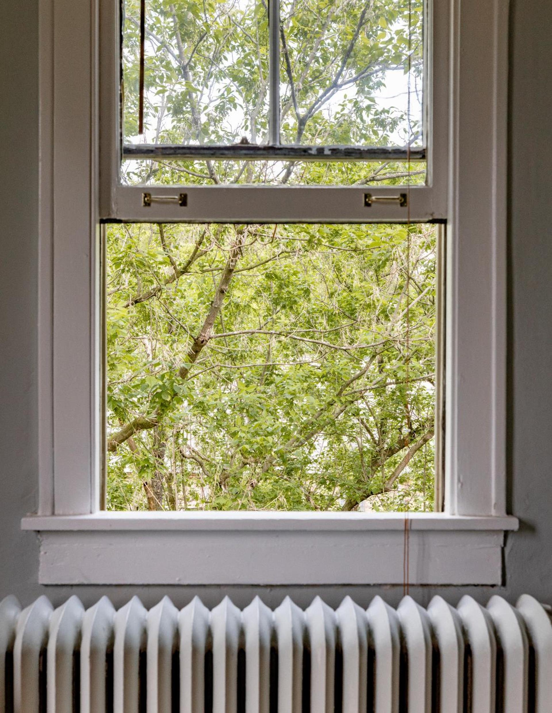Princess Anne Boutique Hotel photo 52