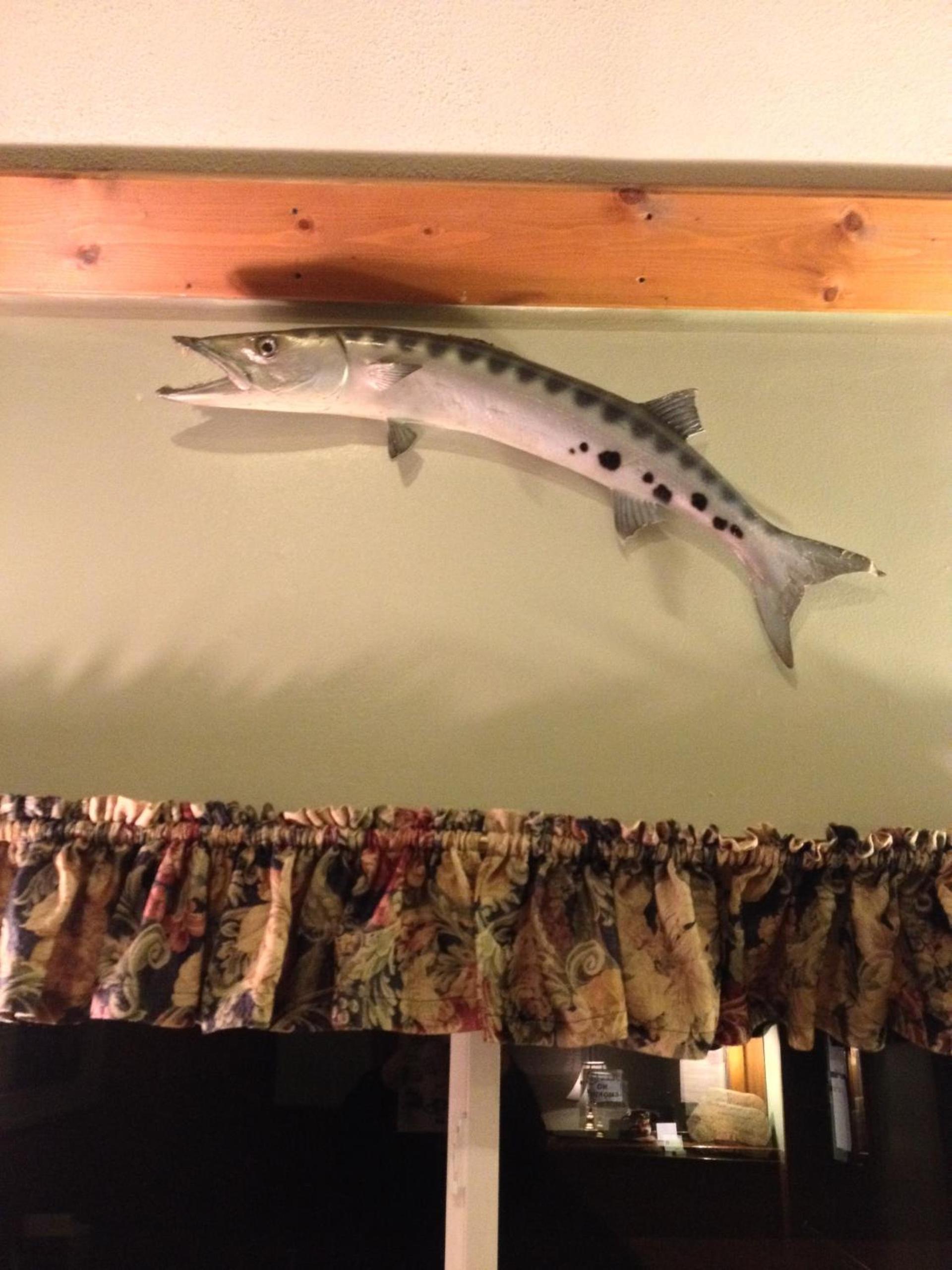 Chaffee Lodge photo 22