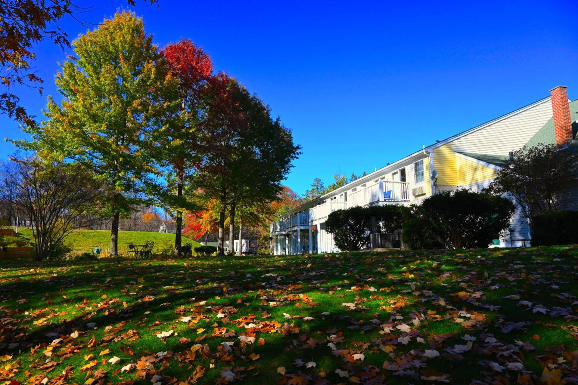 The Lodge at Jackson Village photo 94