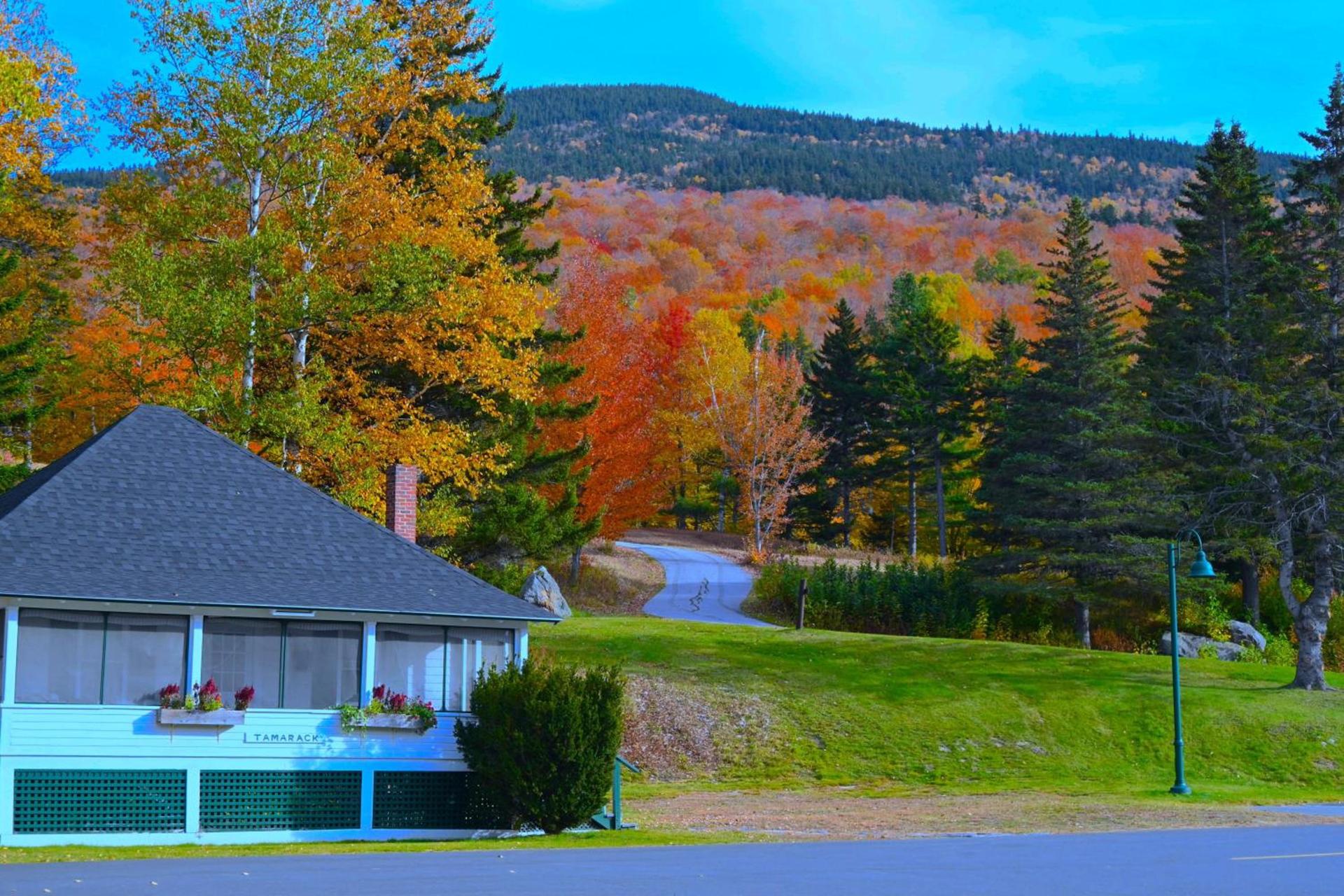 The Lodge at Jackson Village photo 99