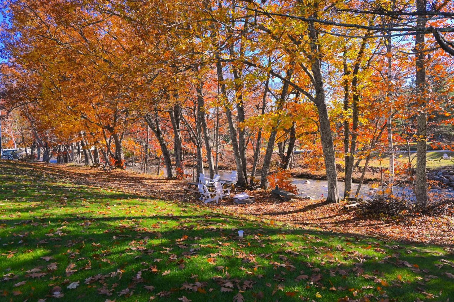 The Lodge at Jackson Village photo 39