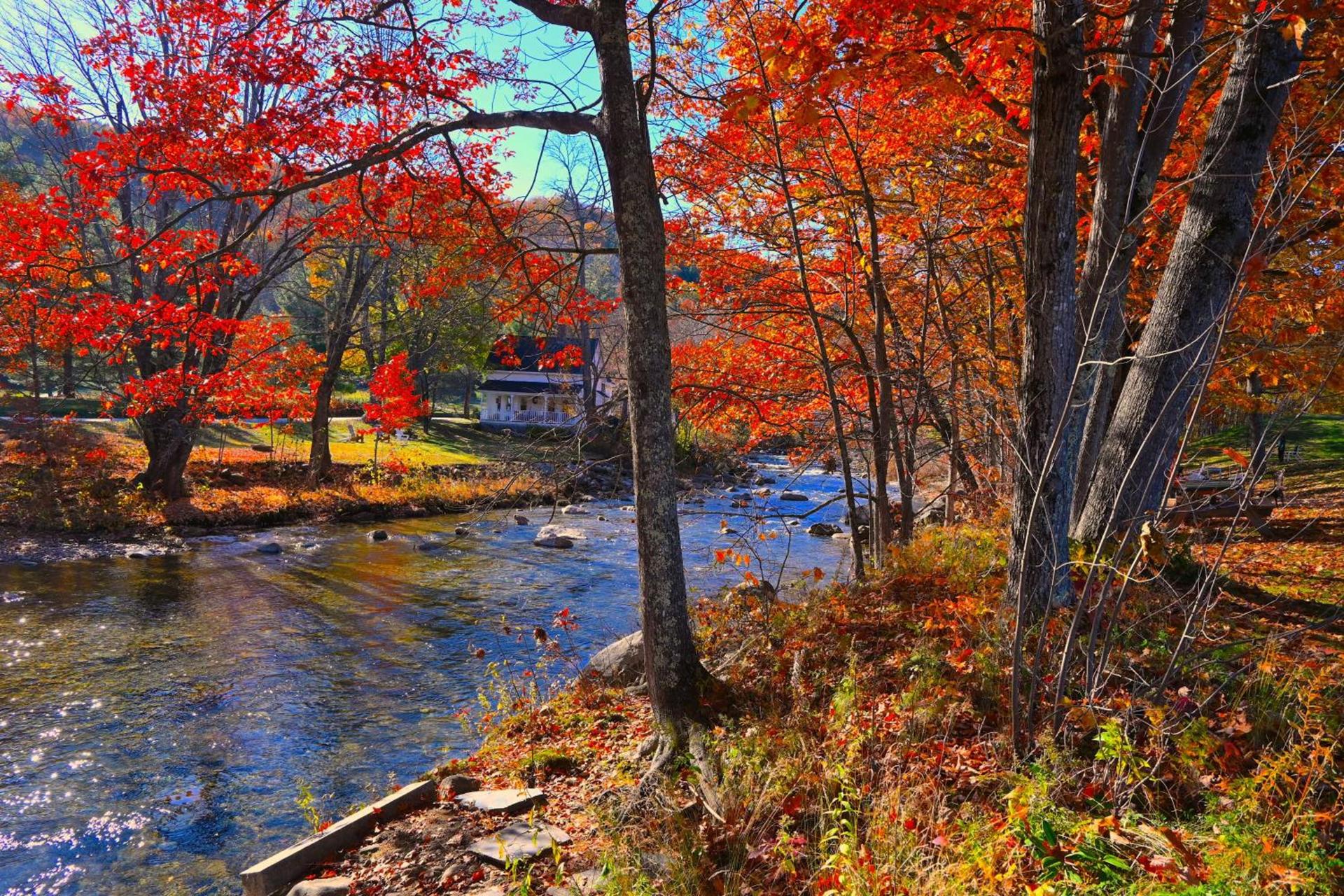 The Lodge at Jackson Village photo 40