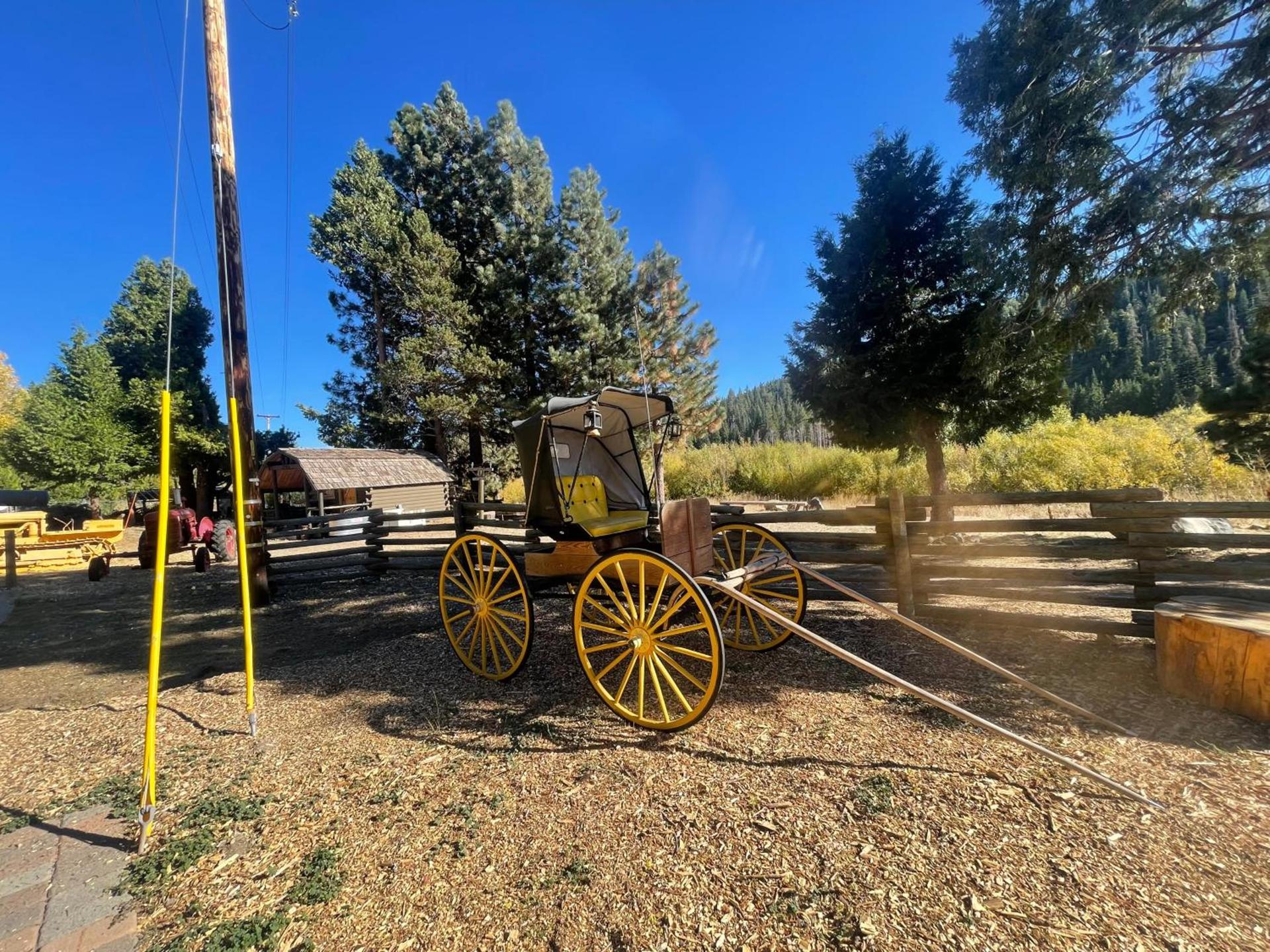 Sierra Woods Lodge photo 31