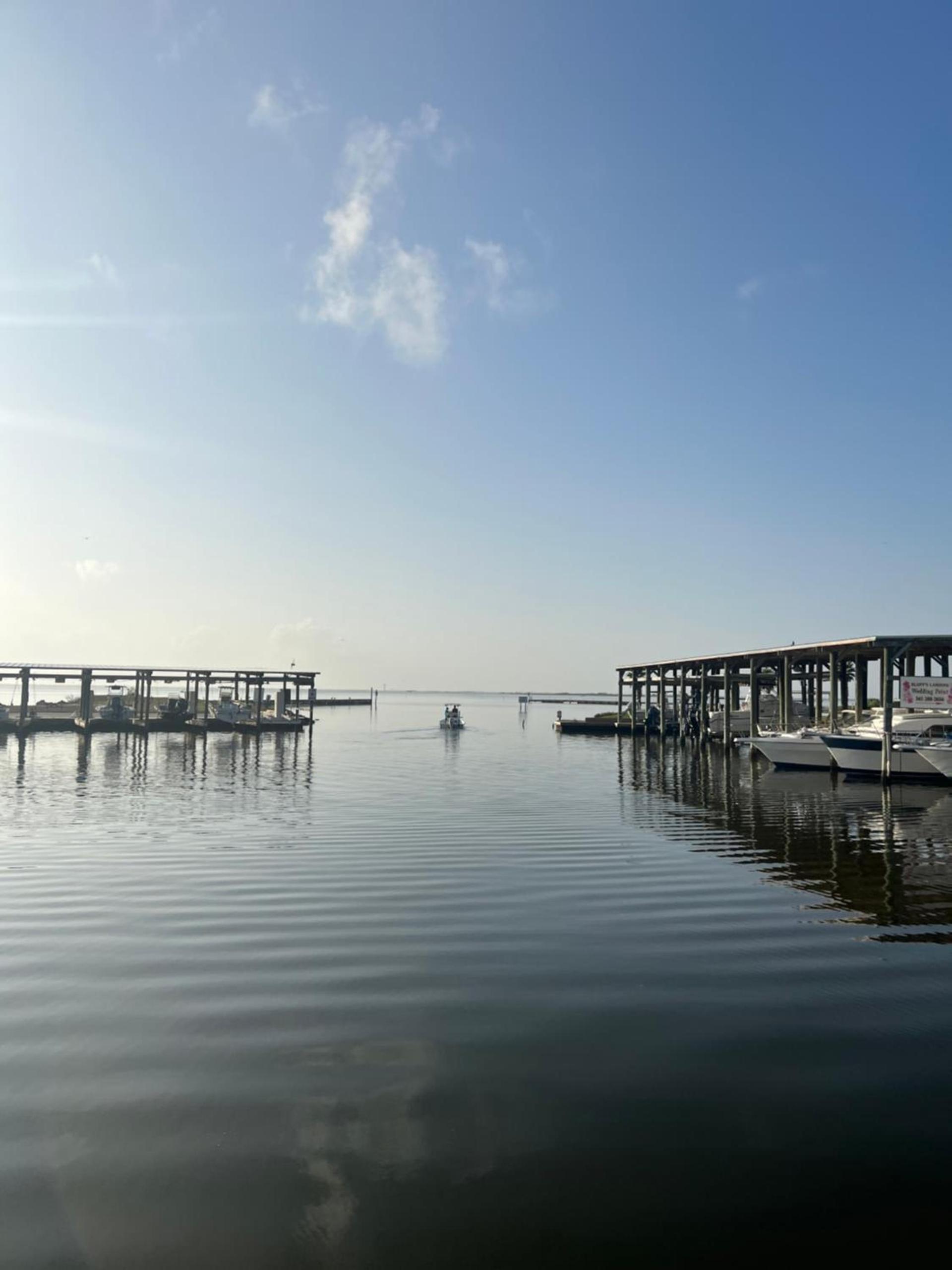 Bluff's Landing Marina & Lodge photo 16