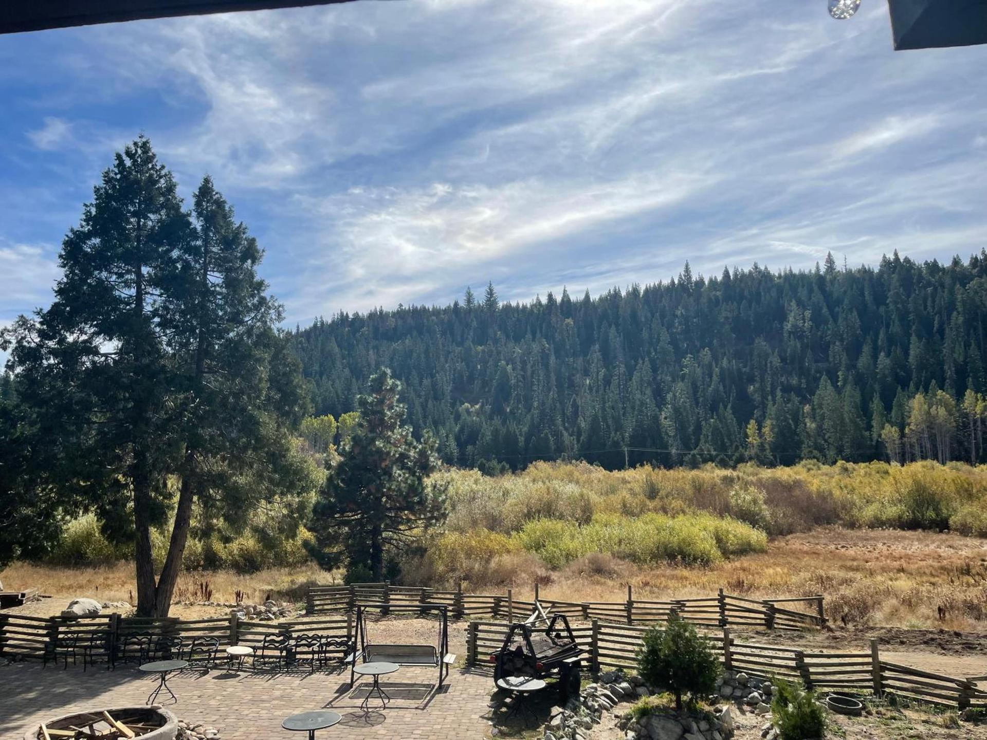 Sierra Woods Lodge photo 78