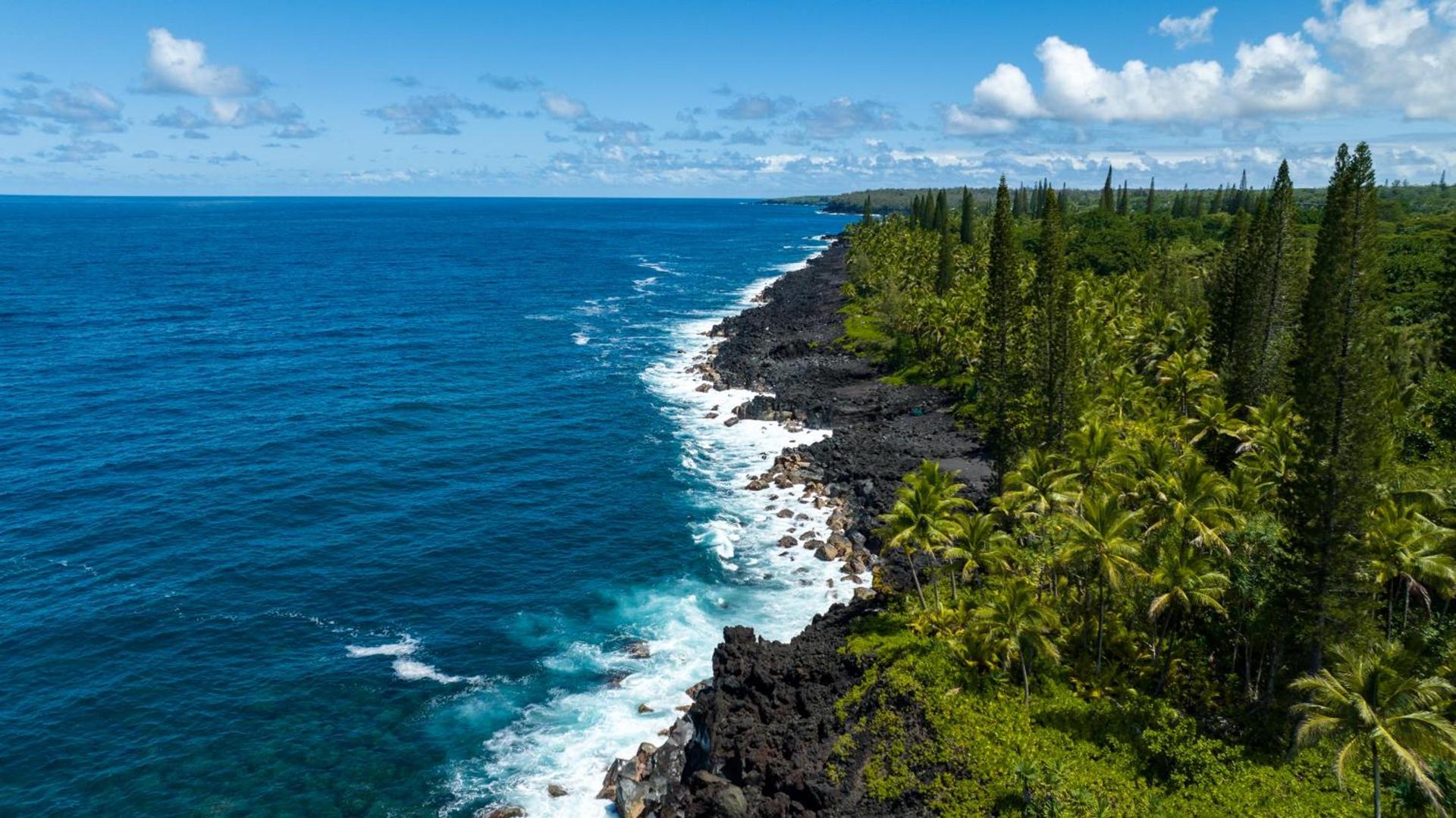 Wild Blue Water photo 40