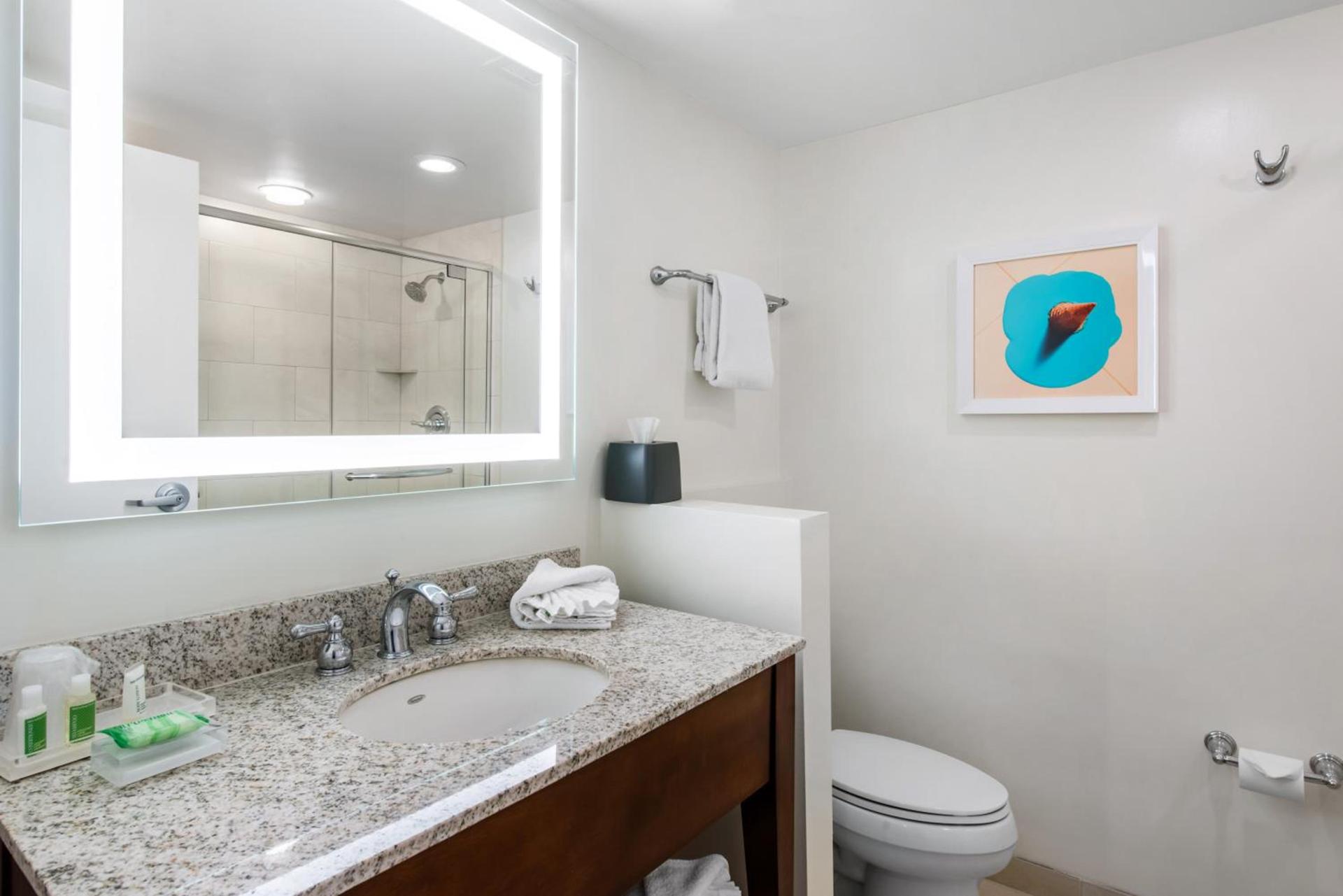 Holiday Inn Orlando – Disney Springs® Area by IHG photo 37
