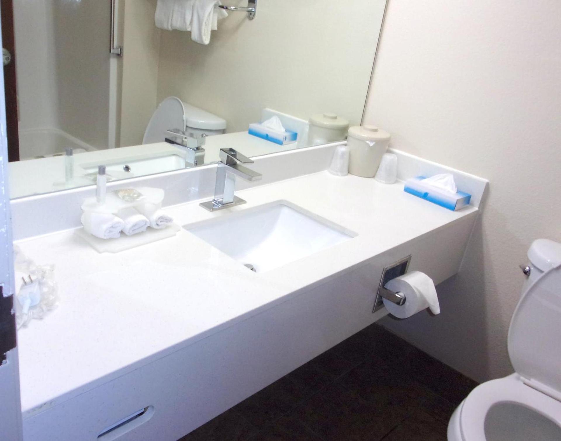 Econo Lodge Inn & Suites photo 37
