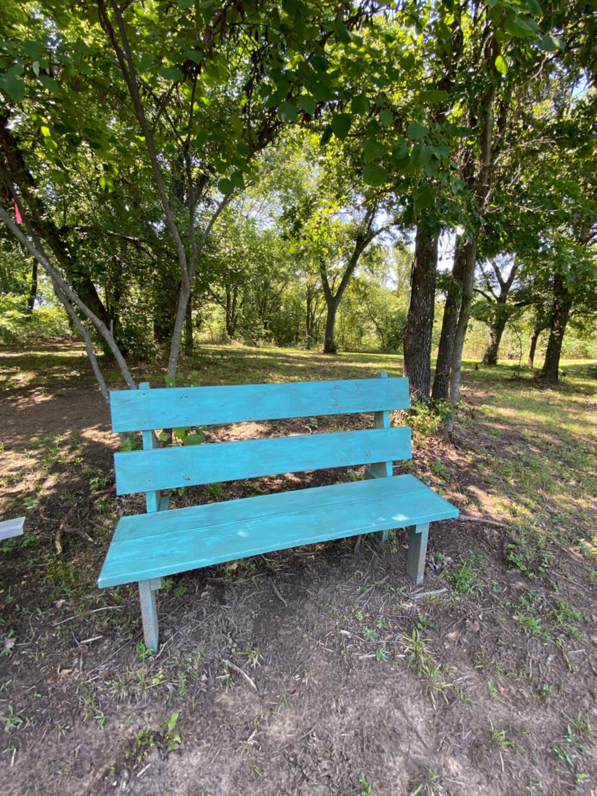 The Woods Lodging photo 21