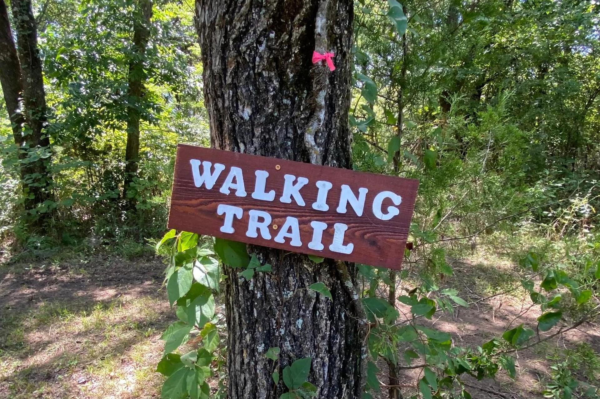 The Woods Lodging photo 23