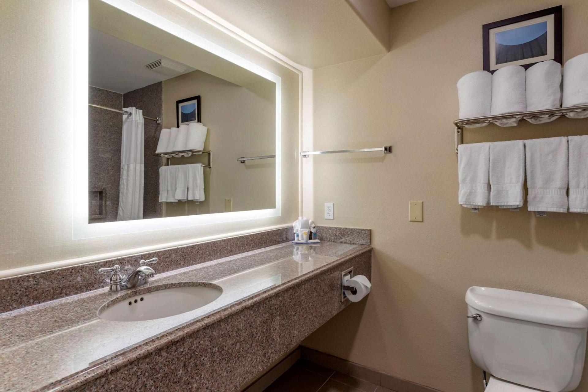 Comfort Suites Houston near Medical Center- NRG Stadium photo 12