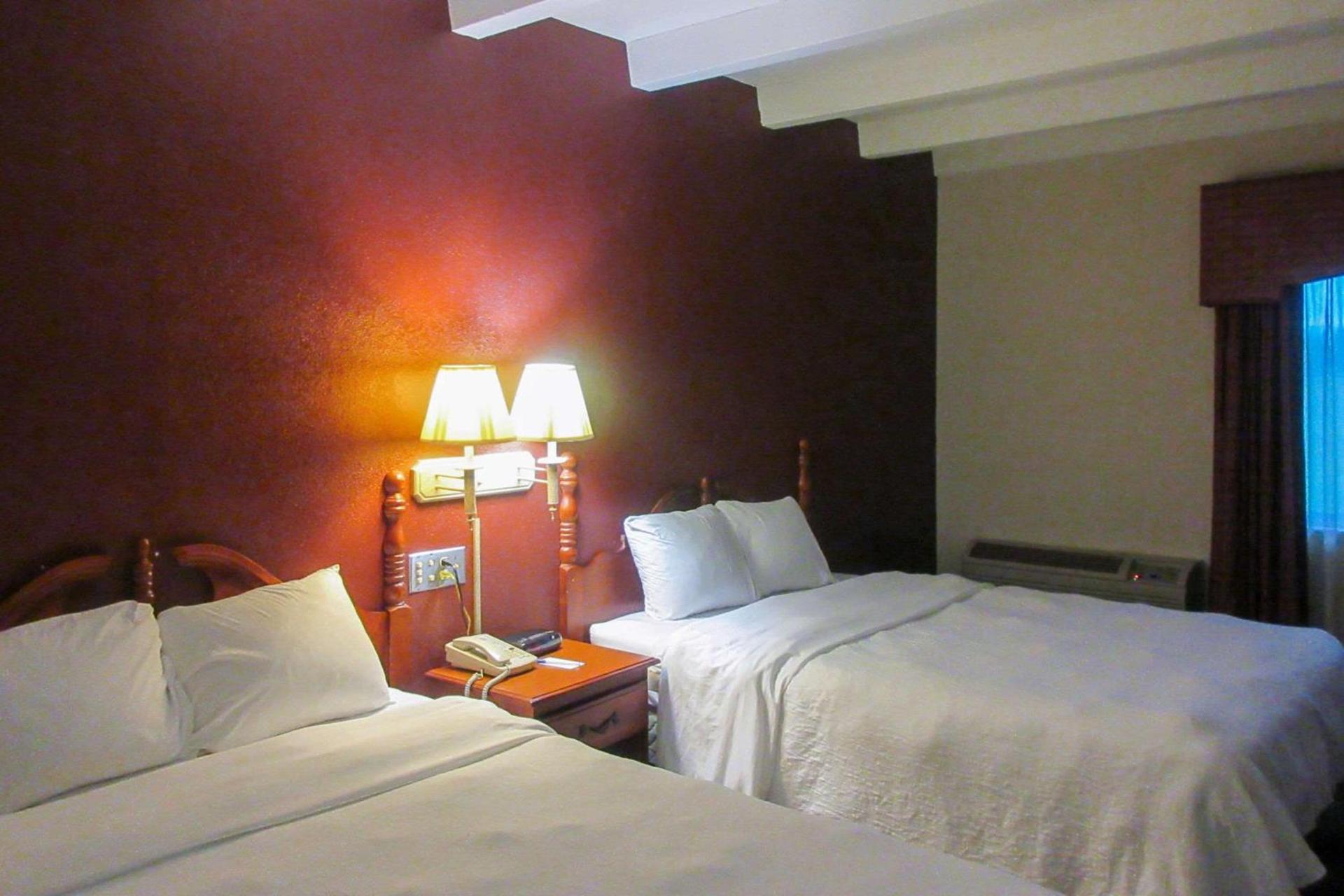 Executive Inn photo 18