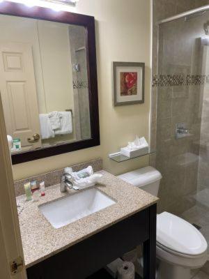 Ashley Quarters Hotel Airport-Cincinnati photo 38