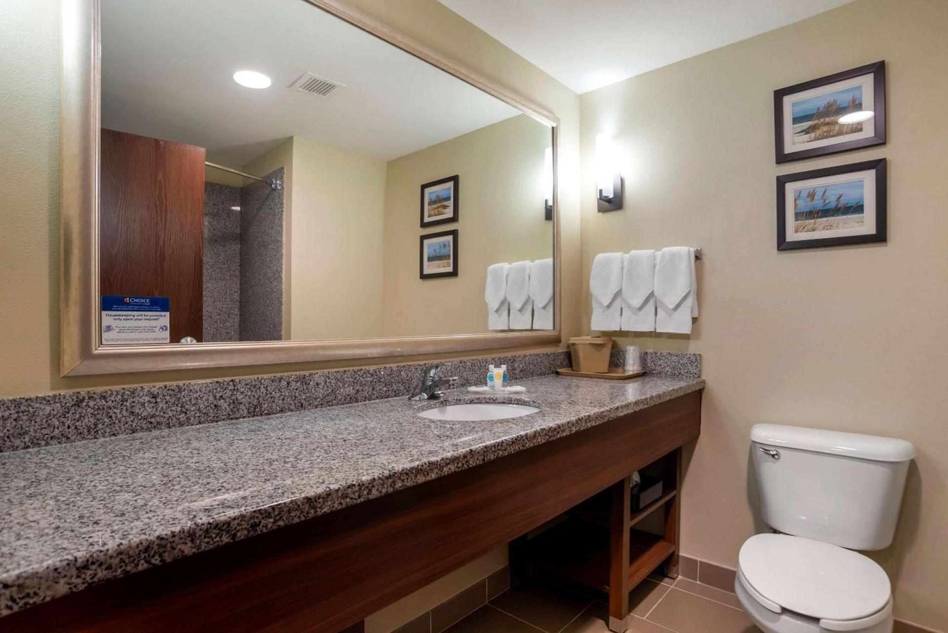 Comfort Suites Foley - North Gulf Shores photo 9