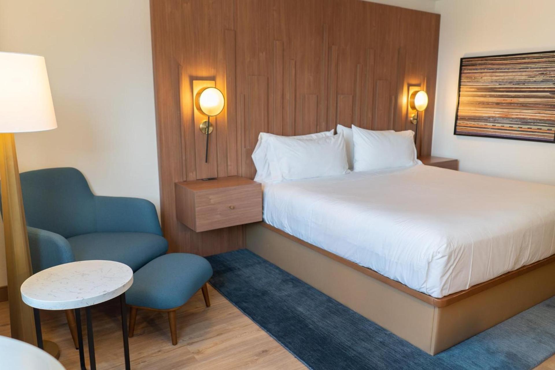Hotel Indigo Detroit Downtown by IHG photo 49