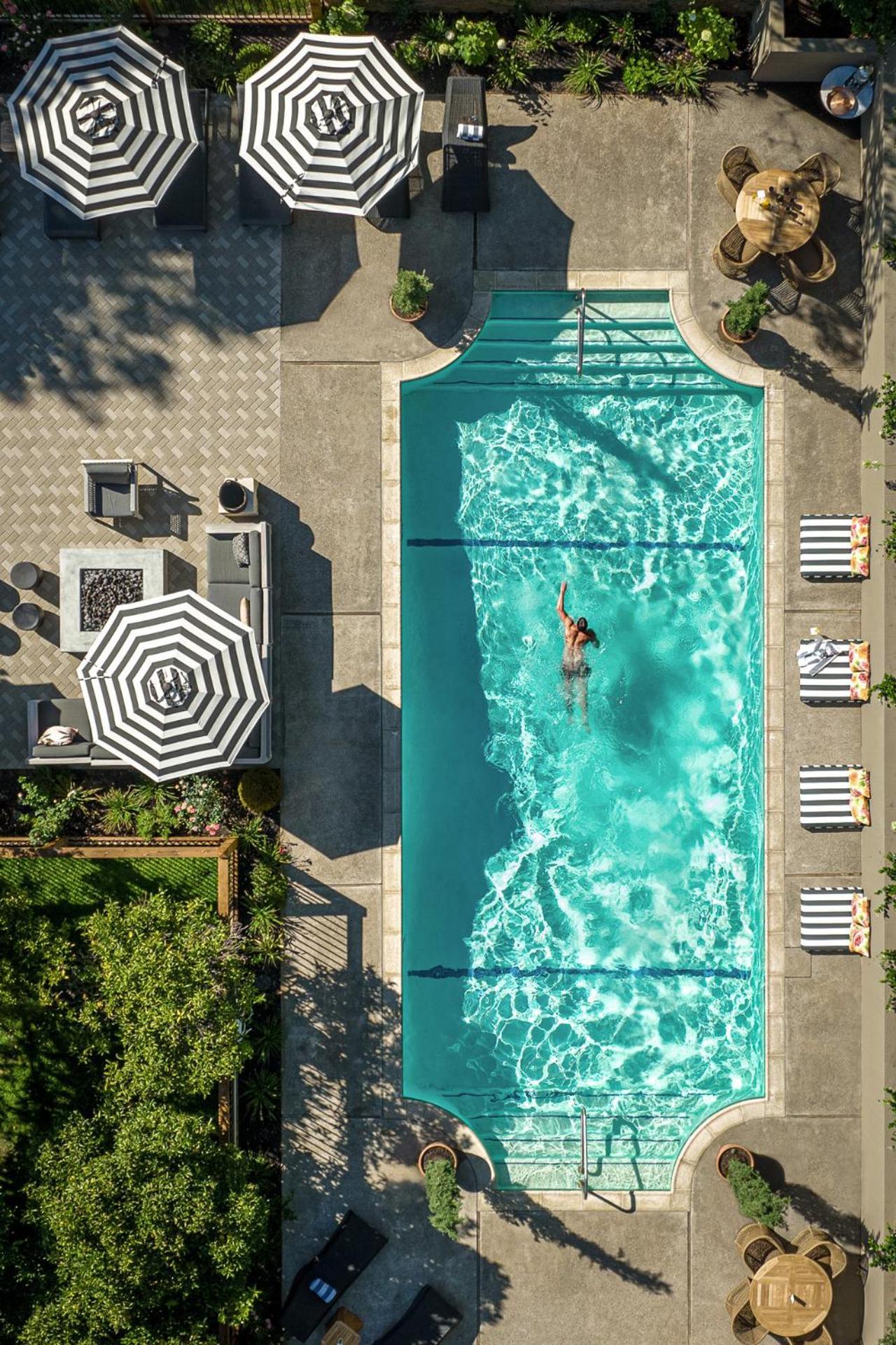 The Madrona photo 15