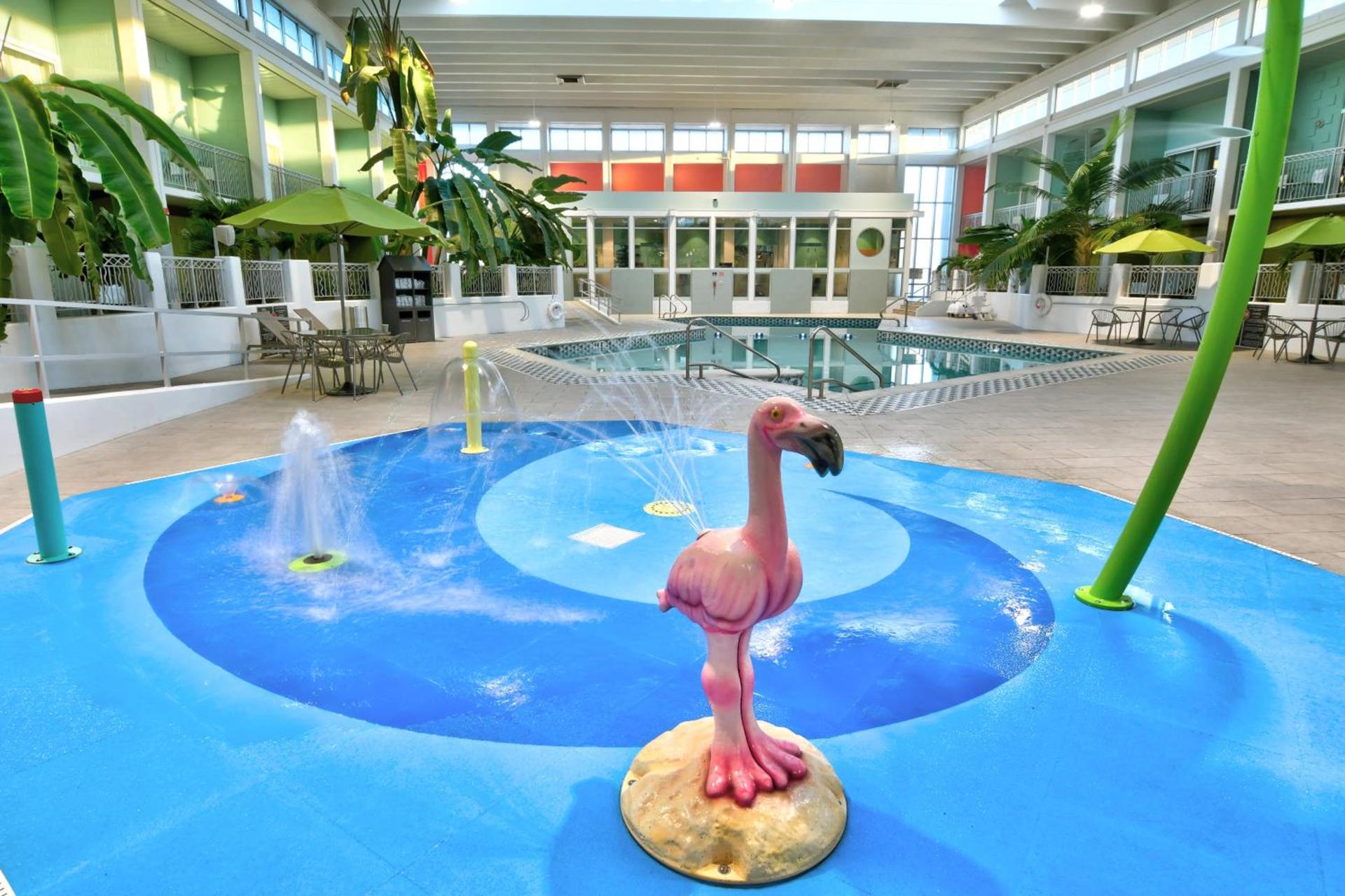 Oasis Hotel and Conv Center, an Ascend Collection Hotel photo 65
