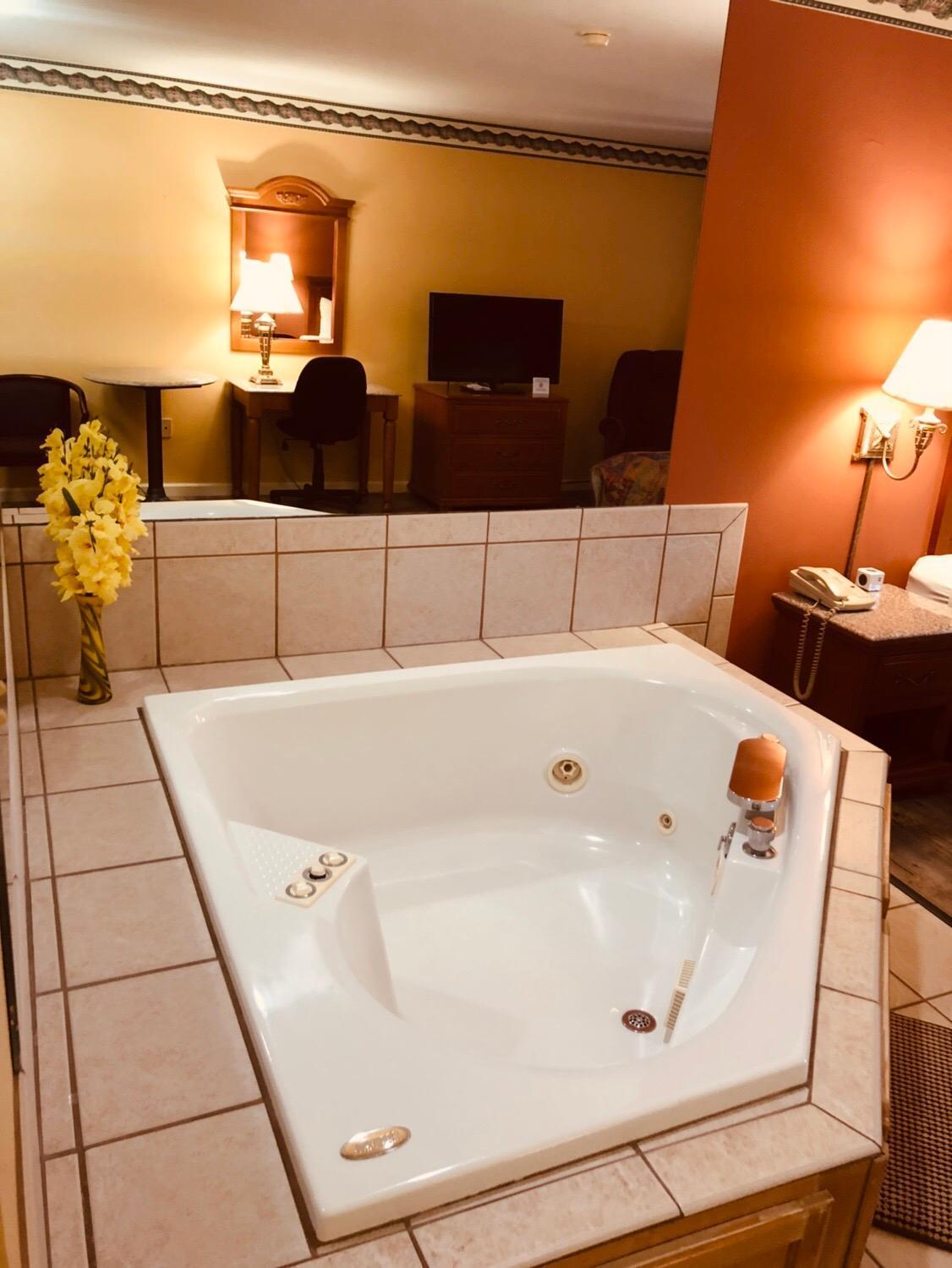 Mountain inn & suites - Dunlap TN photo 6