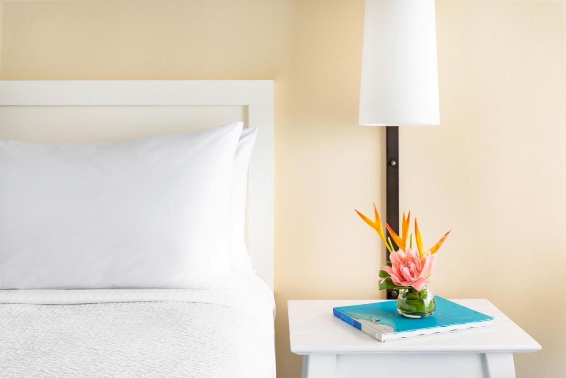 The Twin Fin Hotel photo 8