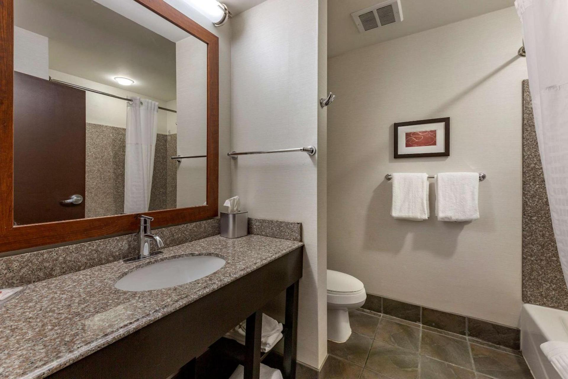 Comfort Suites Perrysburg - Toledo South photo 5