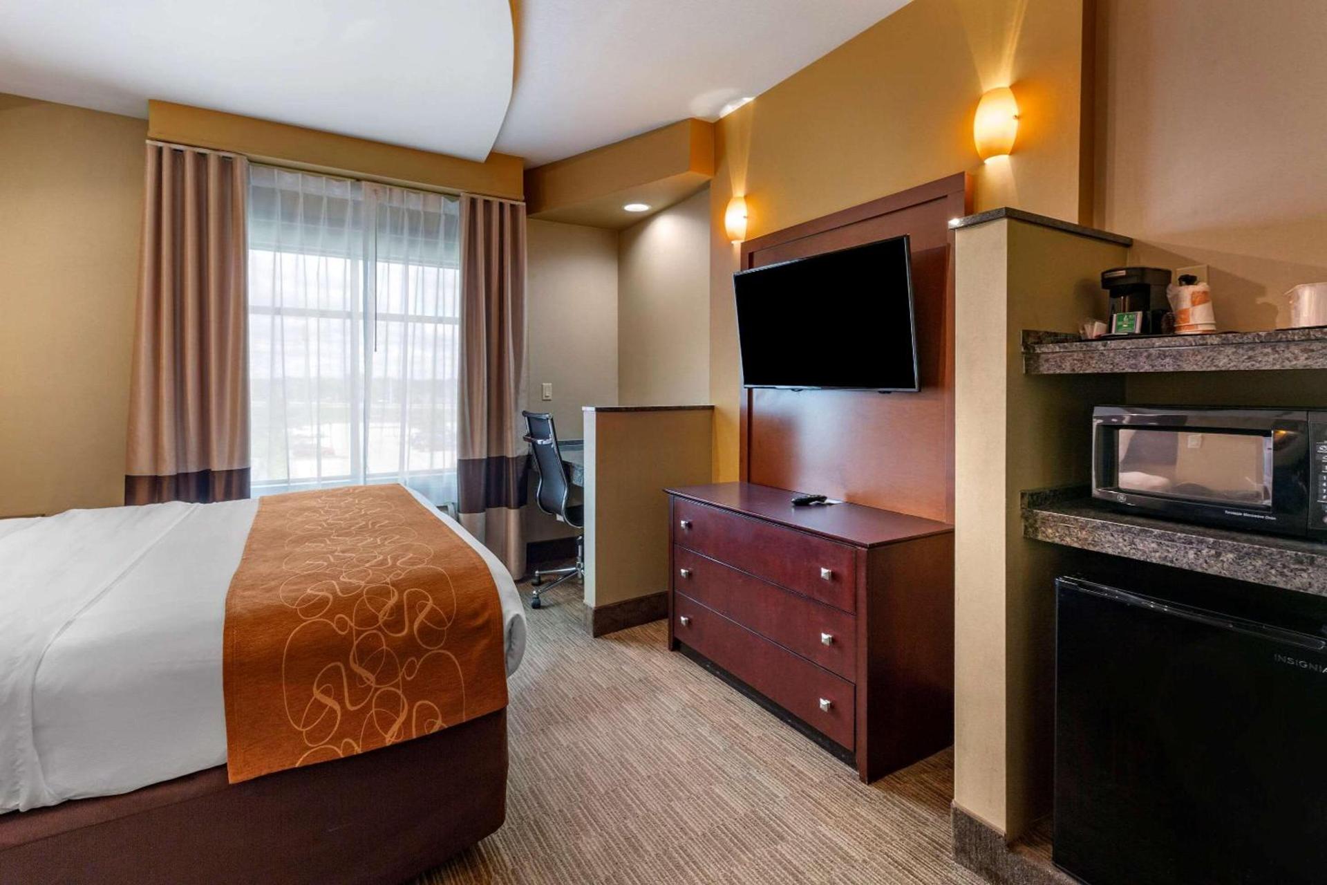 Comfort Suites Perrysburg - Toledo South photo 18