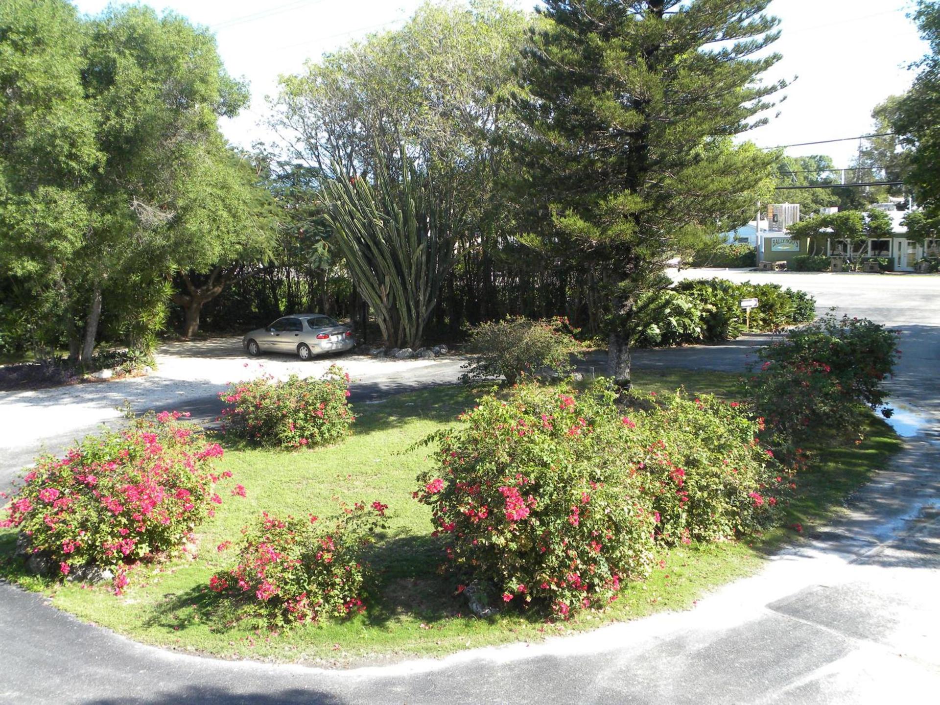 Rock Reef Resort photo 27