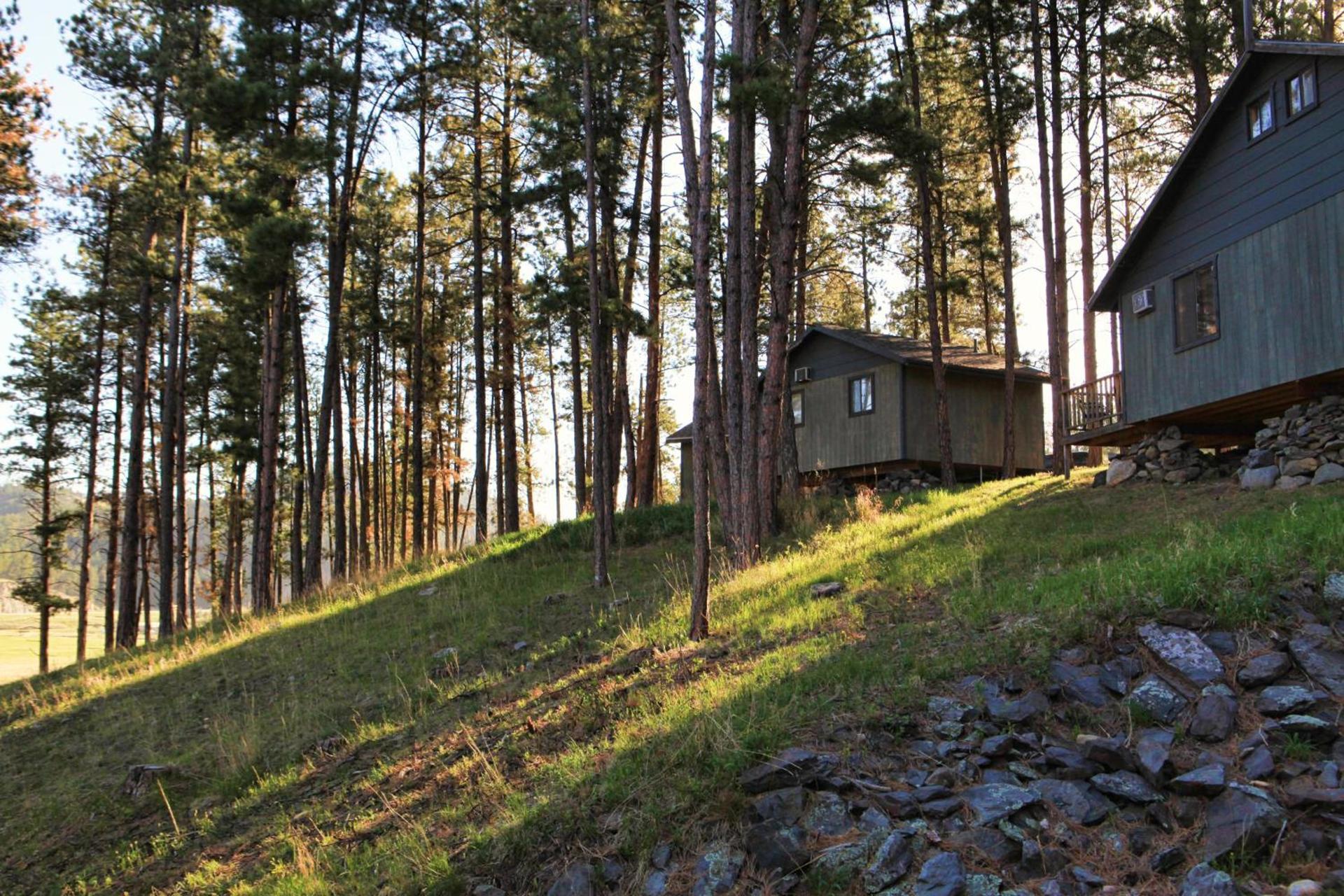 Mountain View Lodge & Cabins photo 50