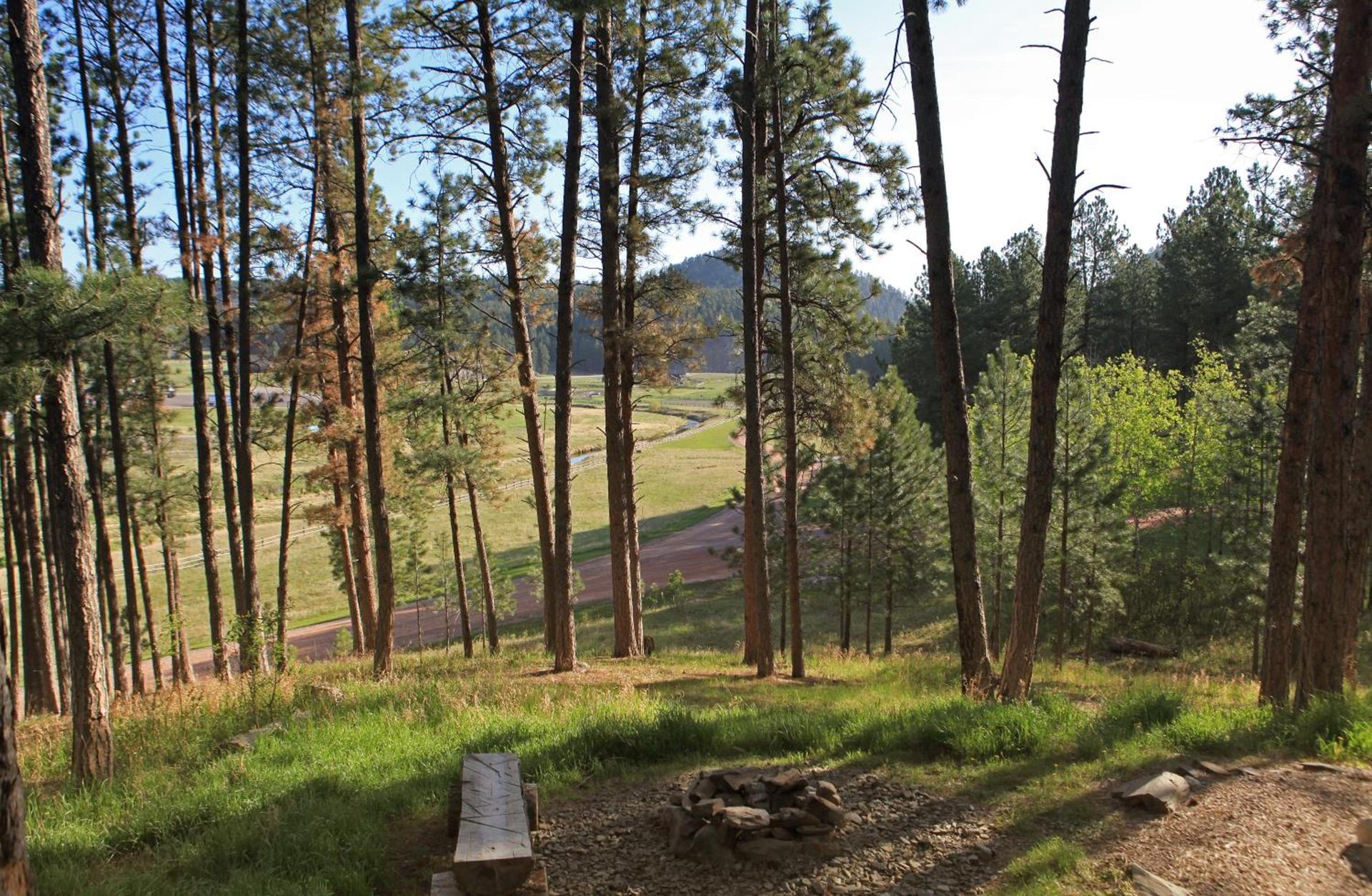 Mountain View Lodge & Cabins photo 51