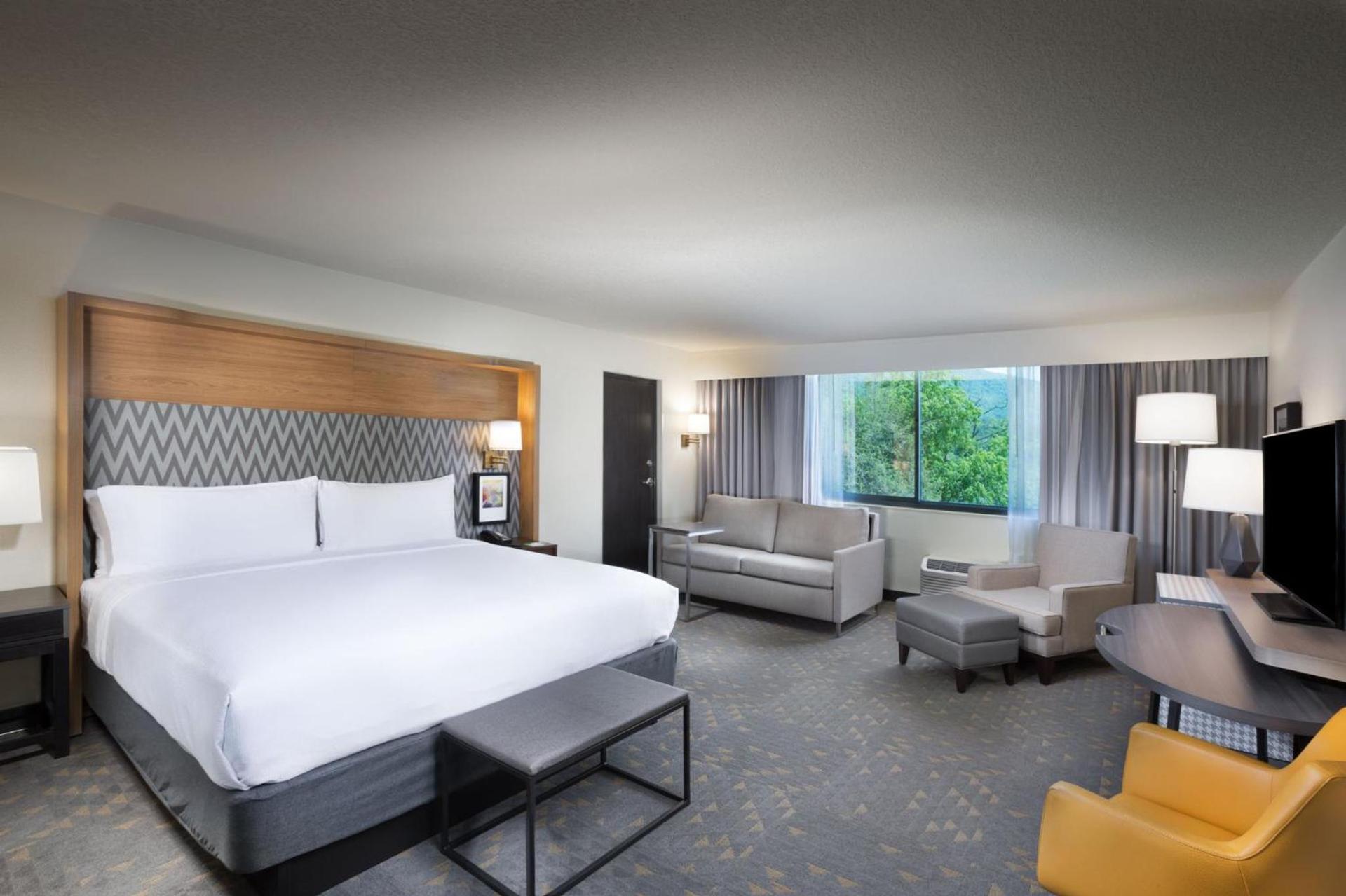 Holiday Inn Asheville East-Blue Ridge Pkwy by IHG photo 23