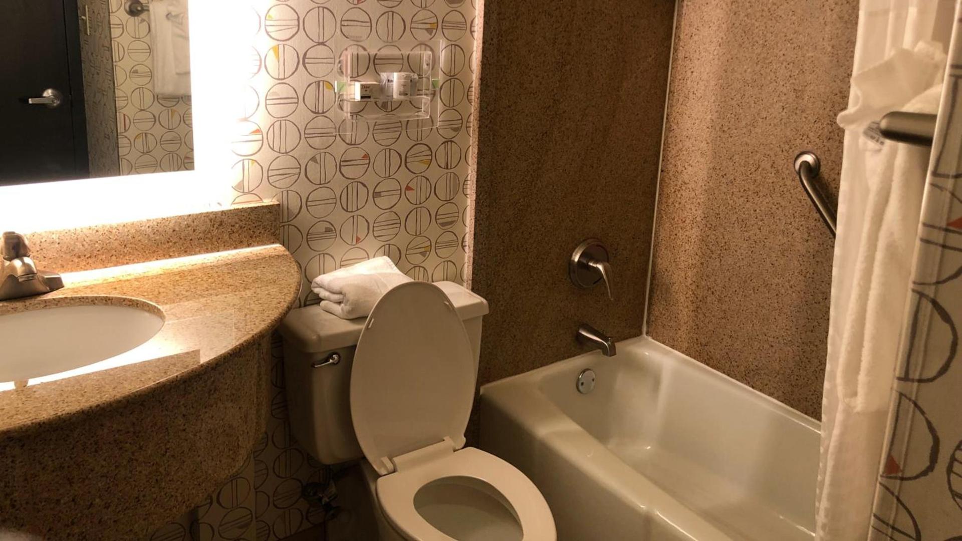 Holiday Inn Asheville East-Blue Ridge Pkwy by IHG photo 22