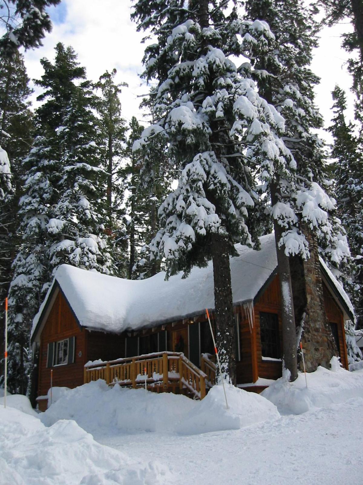 Tahoma Meadows - Sugar Pine Cabin photo 1
