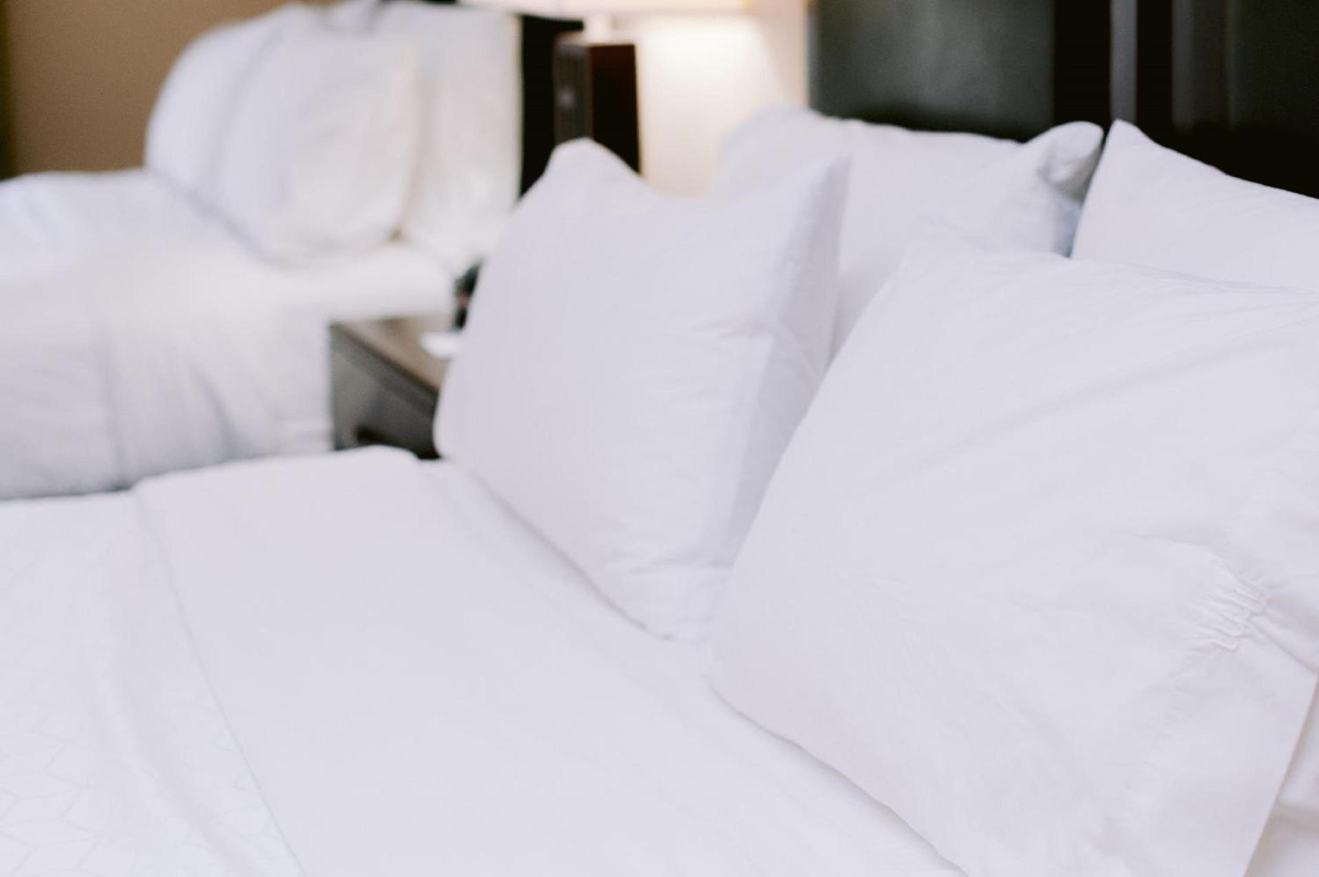 Holiday Inn Express Hotel Raleigh Southwest by IHG photo 65