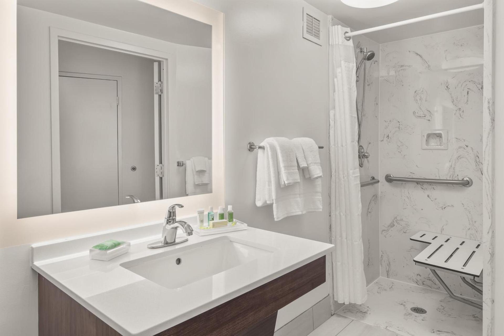 Holiday Inn Charleston-Riverview by IHG photo 16