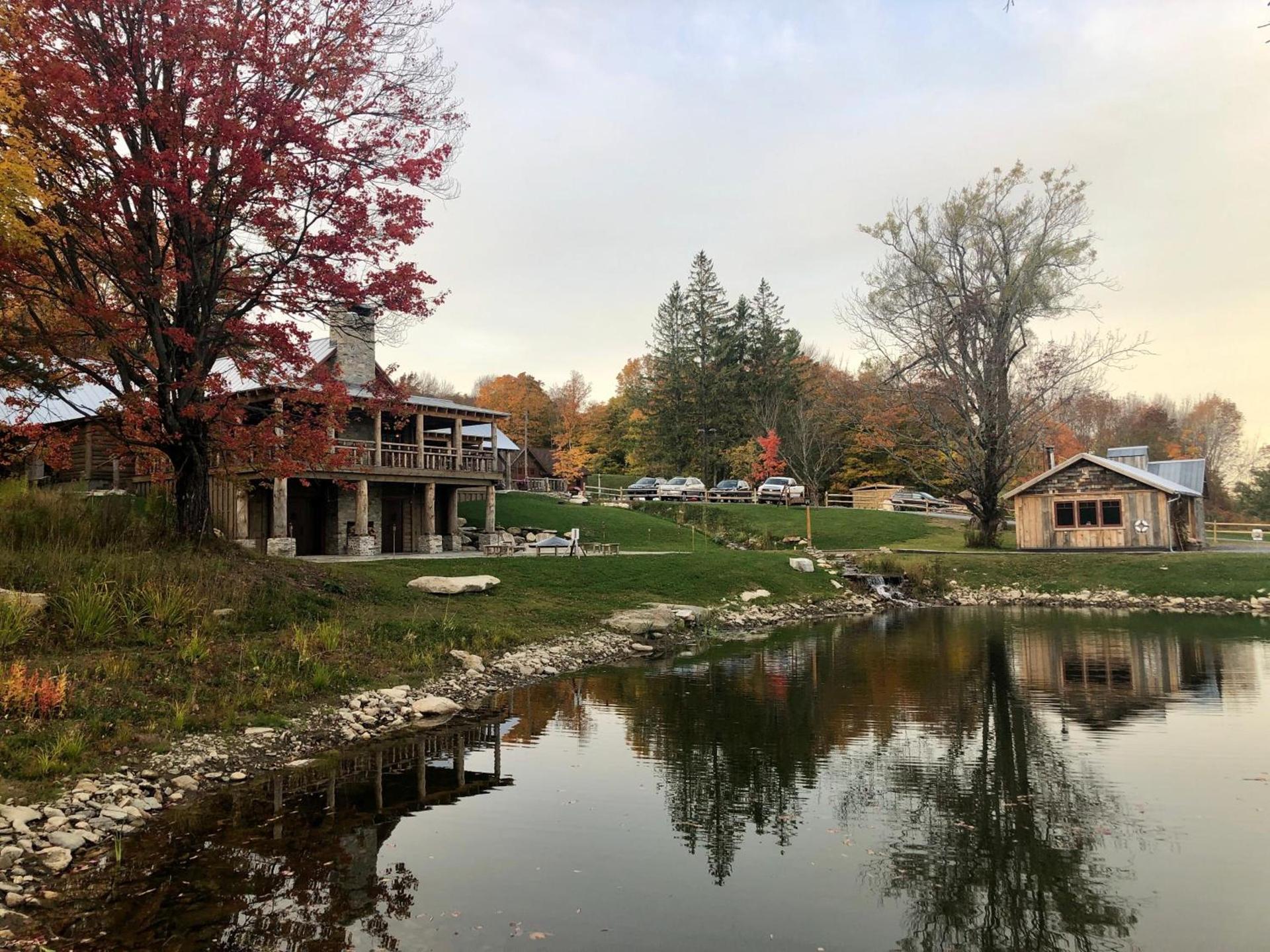 Seesaw's Lodge photo 73