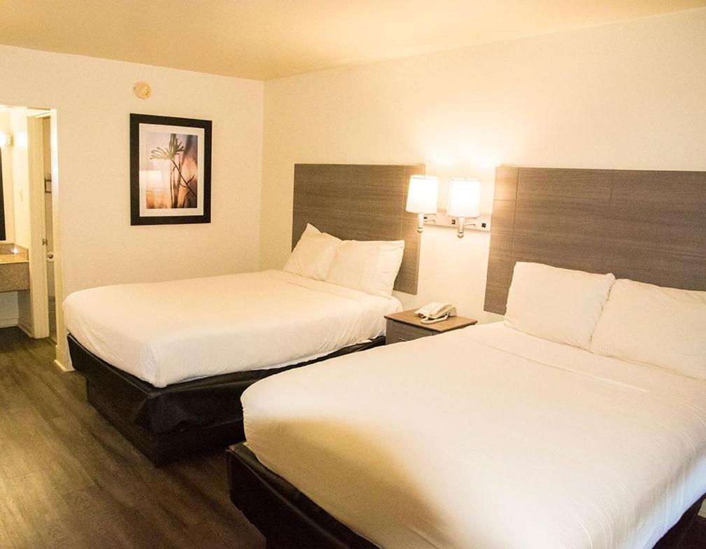 Exacta Inn photo 8