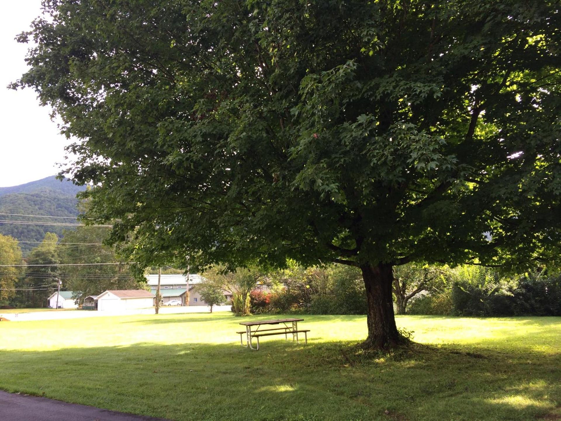 Cardinal Inn photo 14
