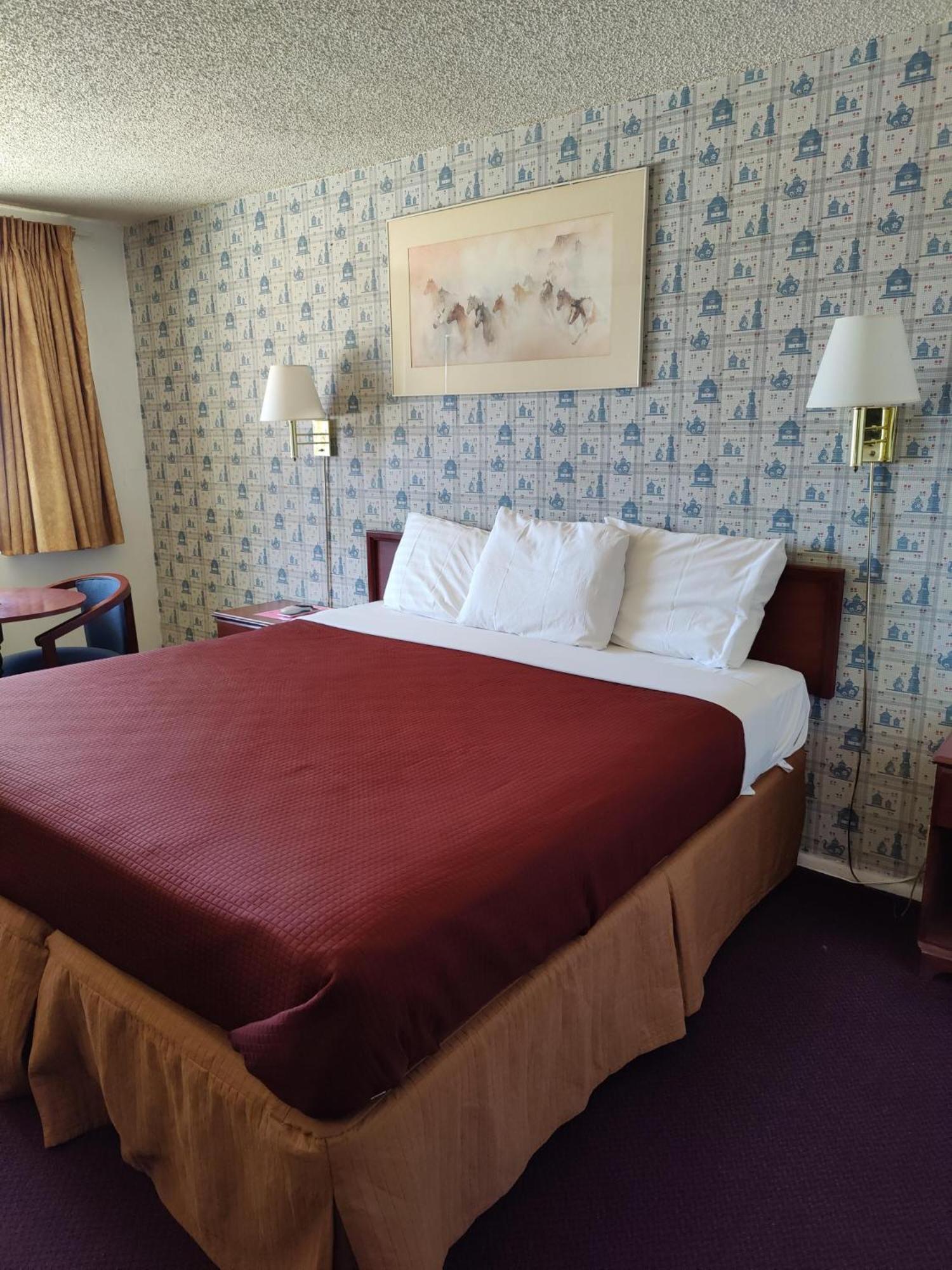 Motel 8 Willcox photo 17