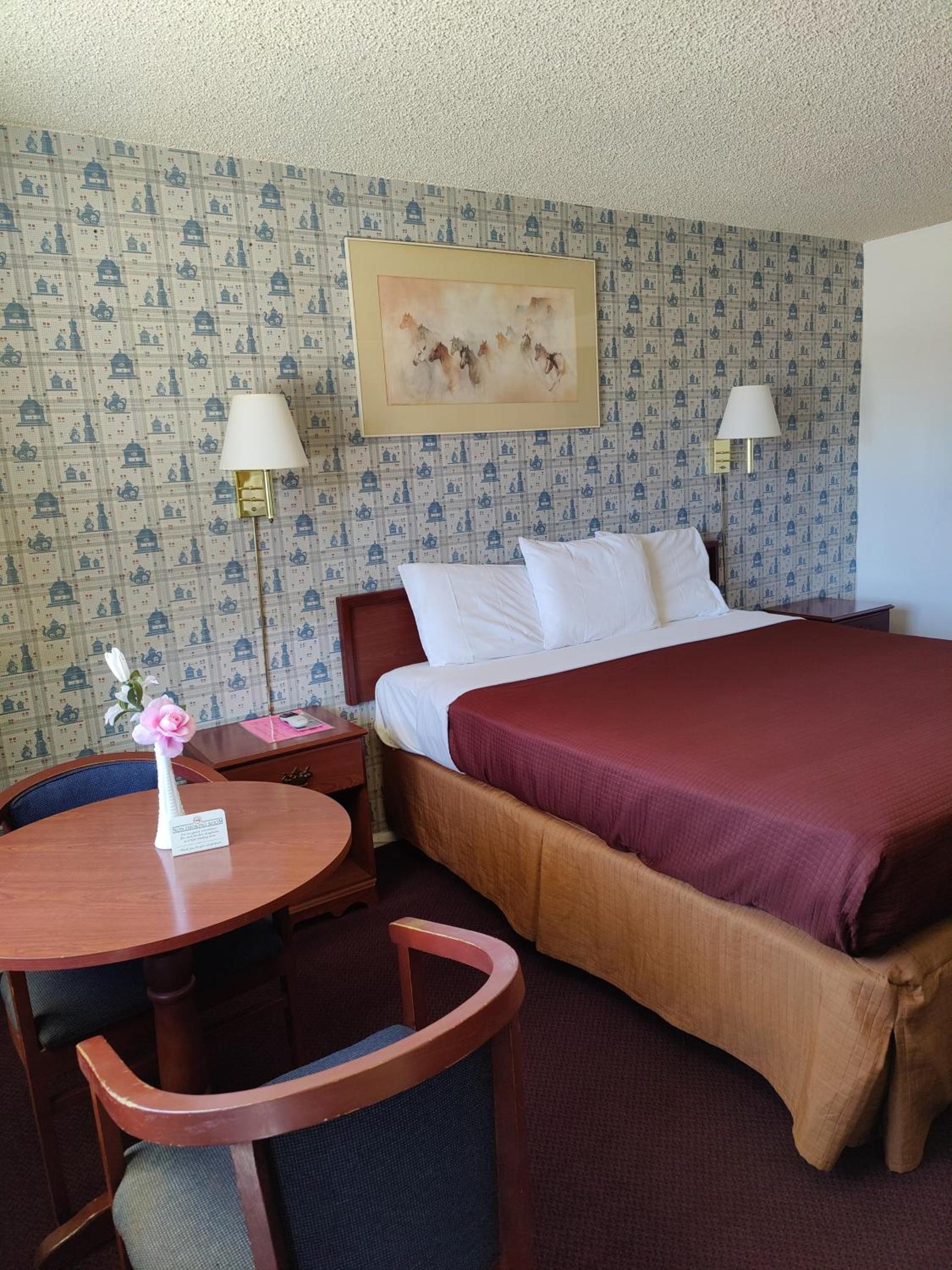 Motel 8 Willcox photo 22