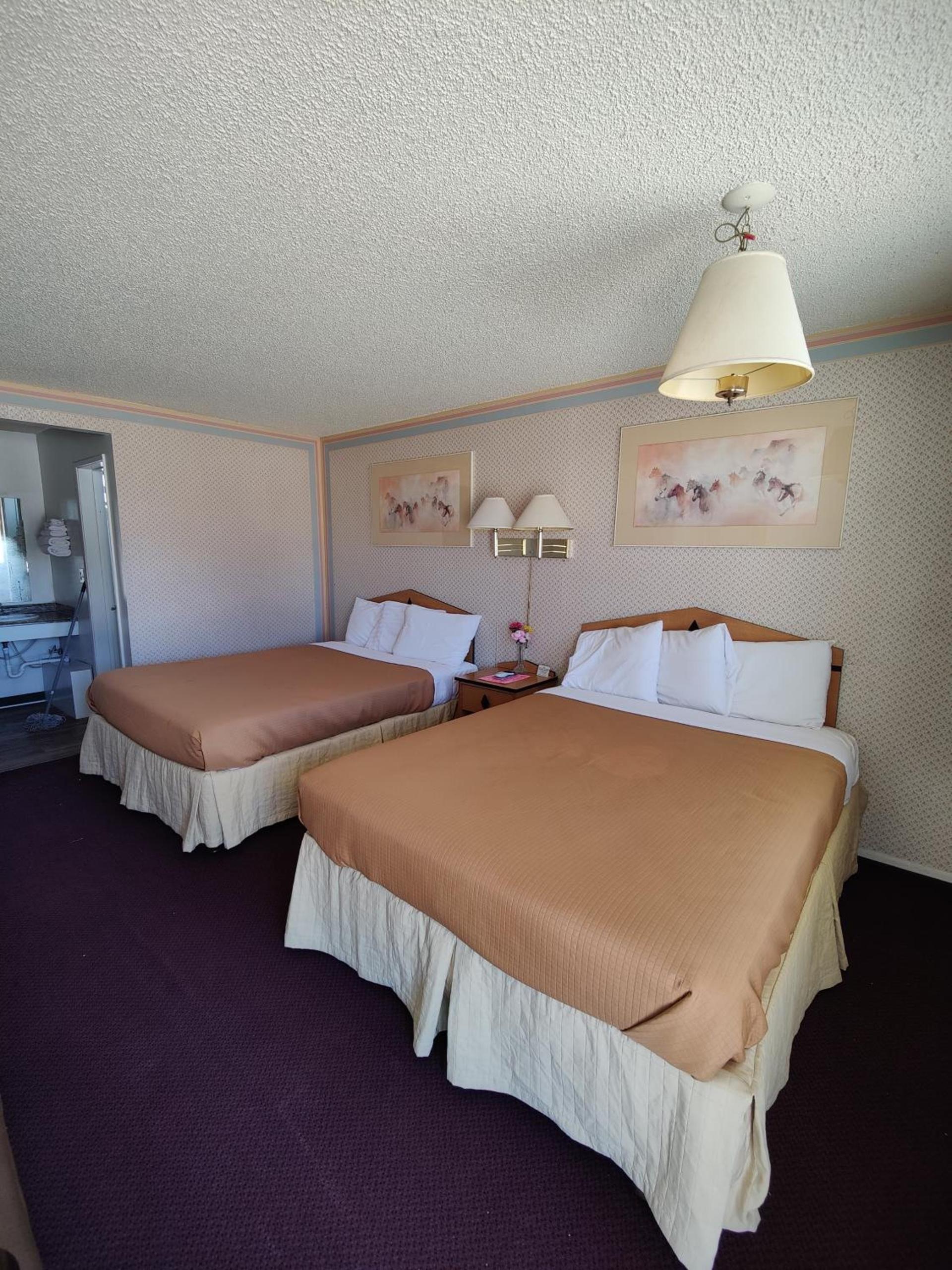 Motel 8 Willcox photo 23