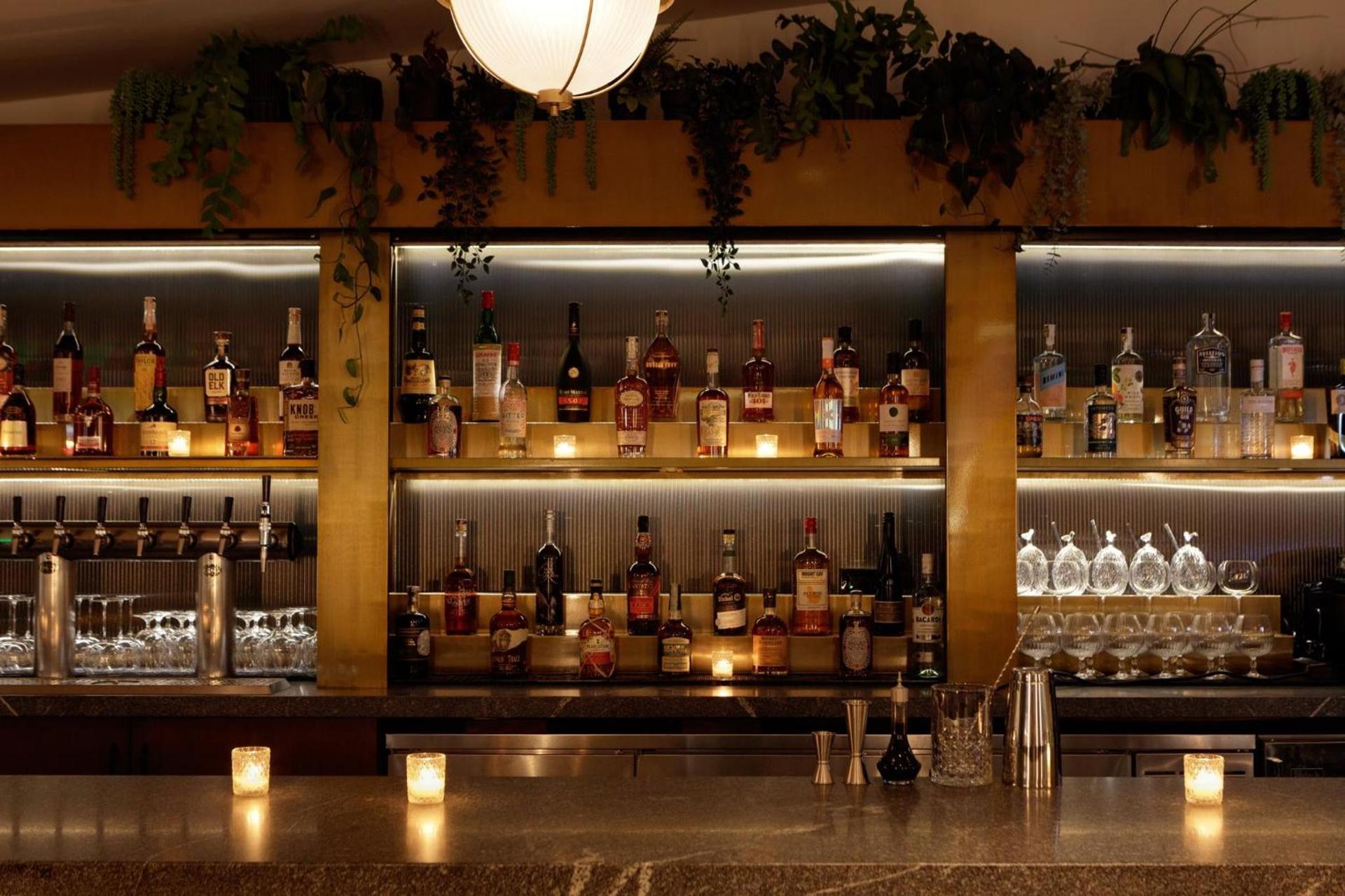 Kimpton Shane Atlanta by IHG photo 76