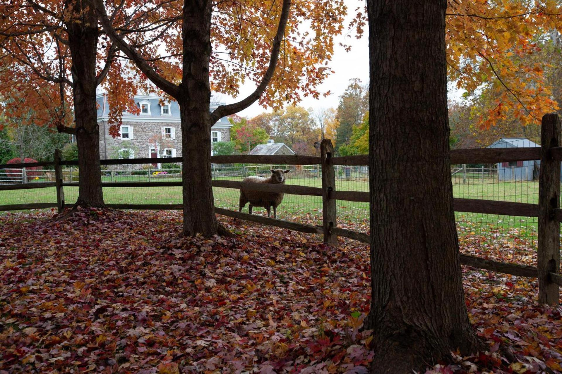 Woolverton Inn photo 14