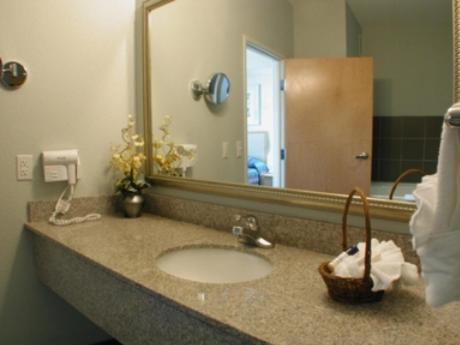 Holiday Inn Express Hotel & Suites San Antonio - Rivercenter Area by IHG photo 10