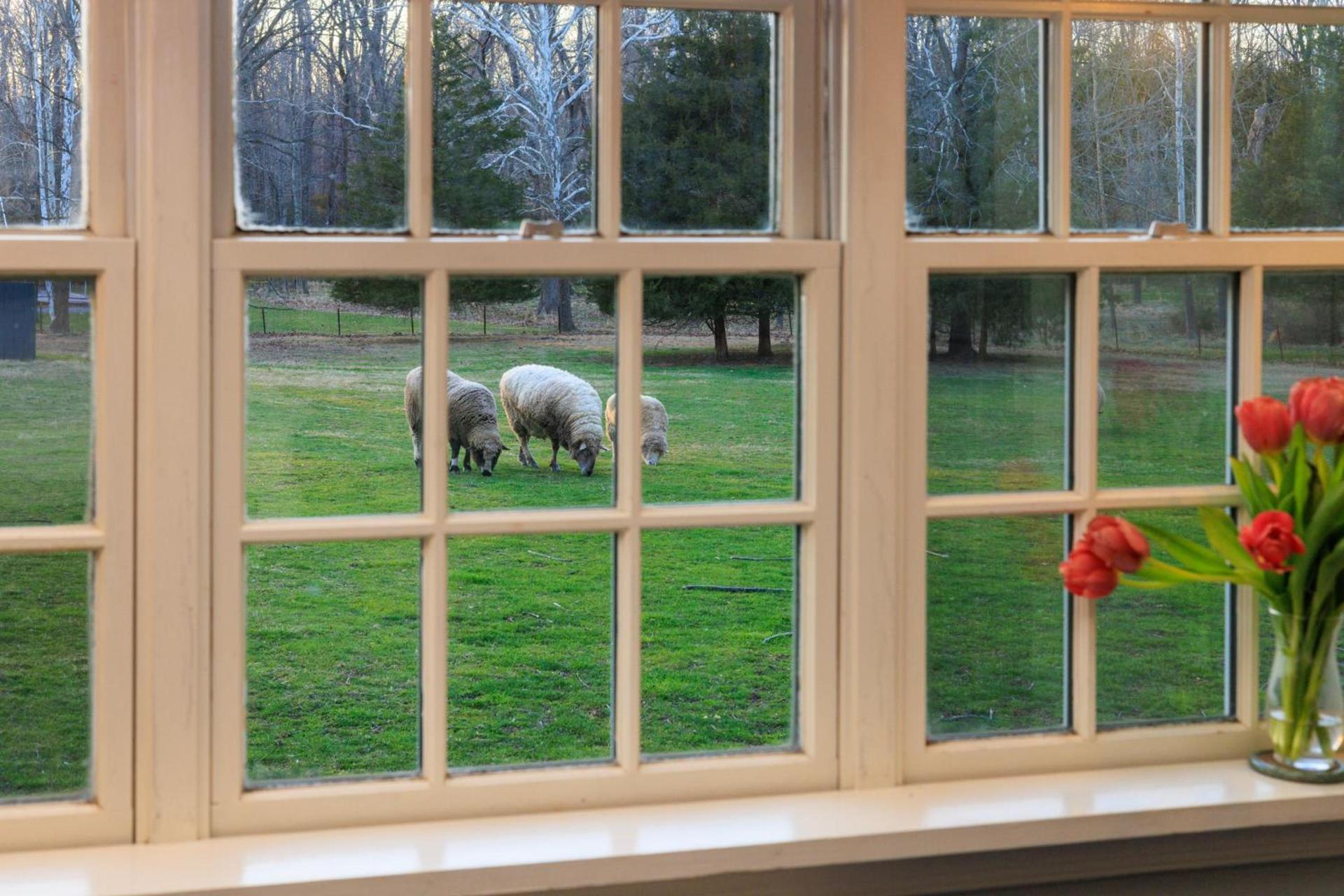 Woolverton Inn photo 36